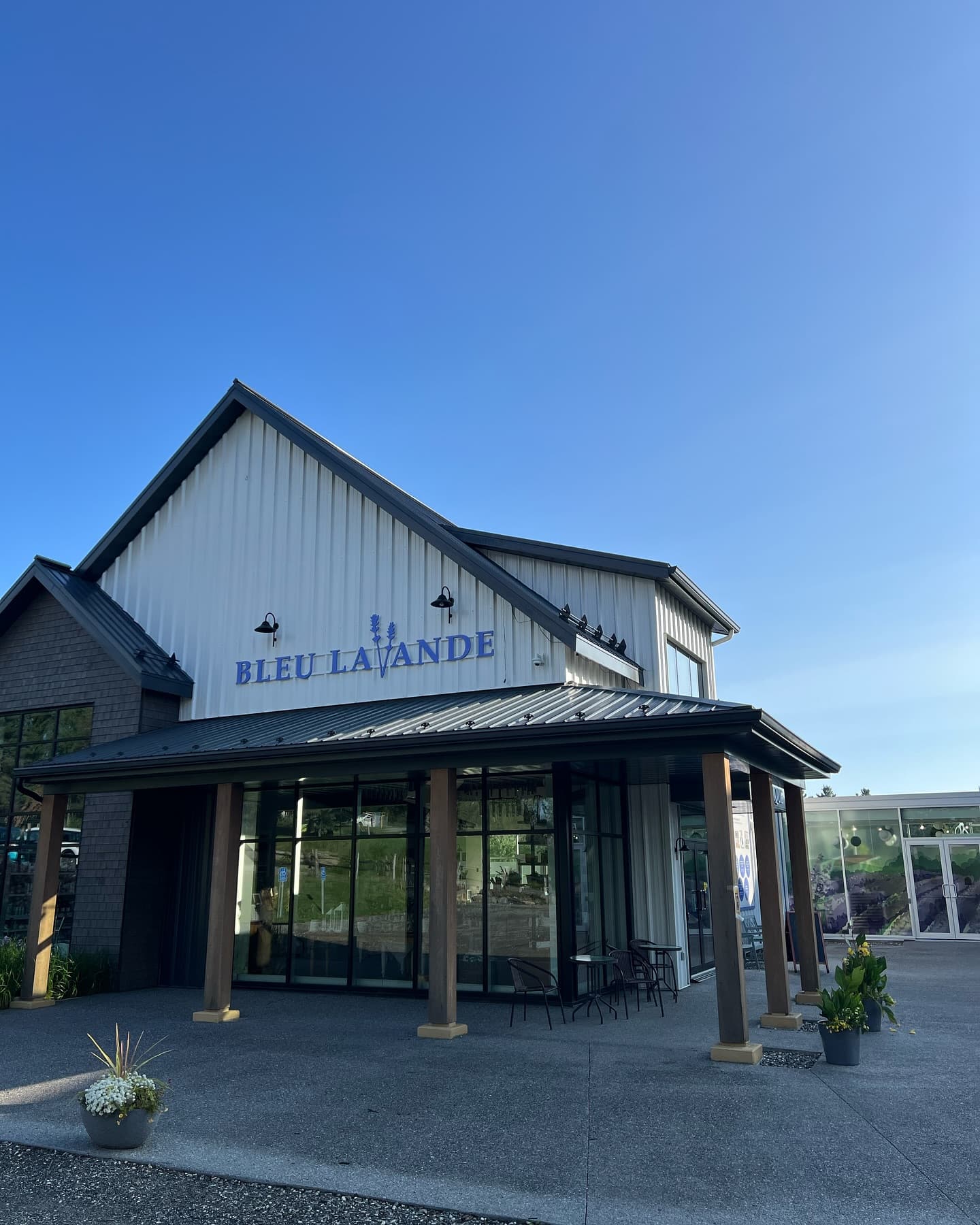 Bleu Lavande