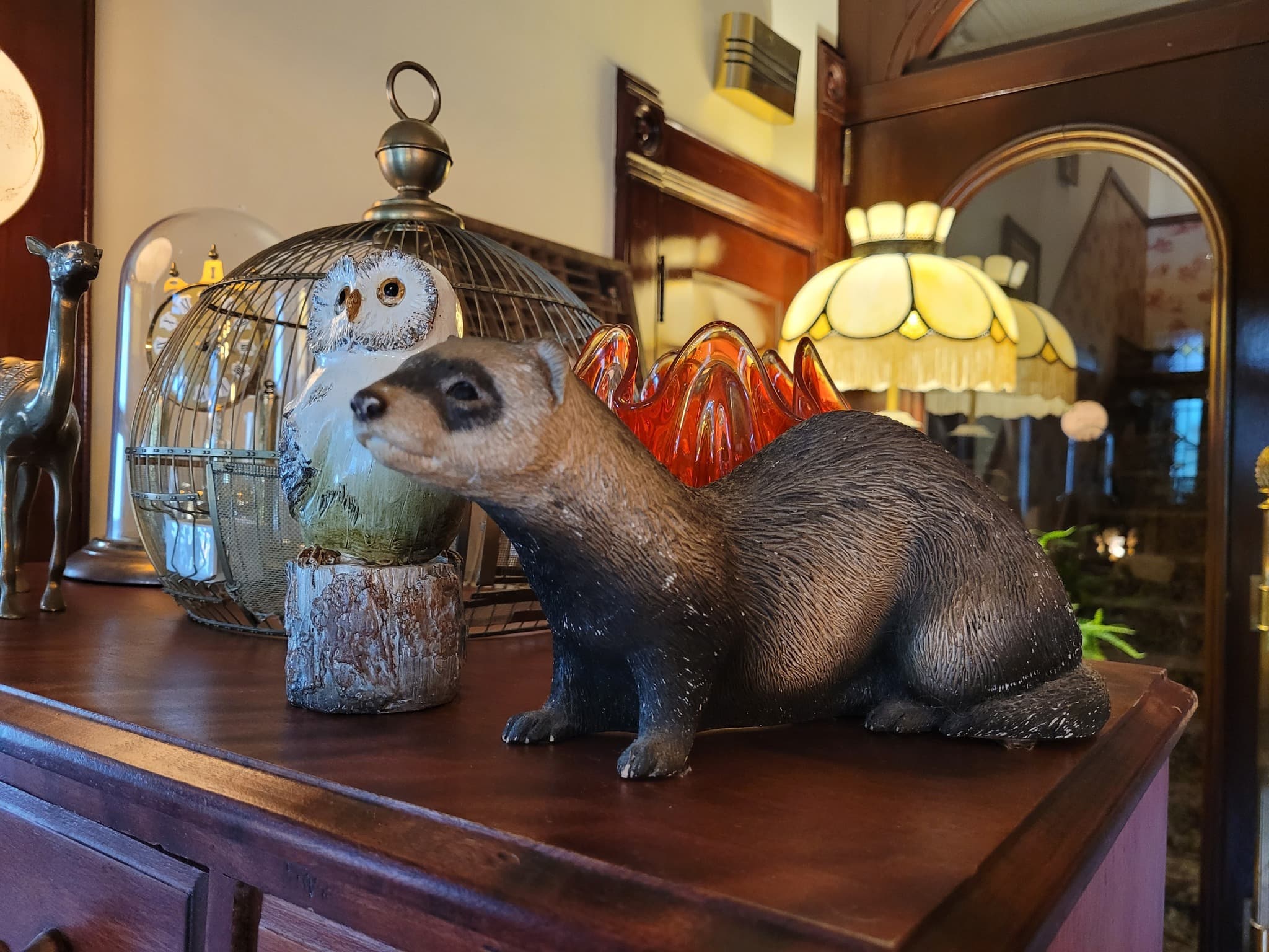 Café Des Curiosités