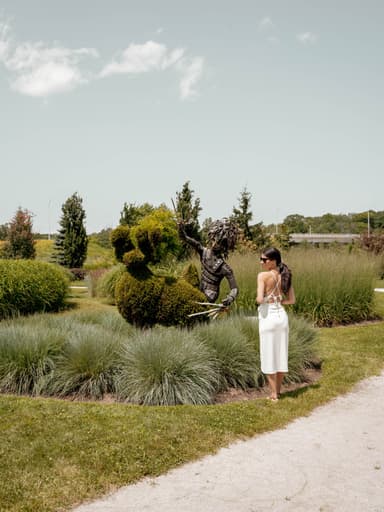 Champs de Rêves