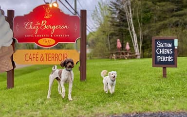 Chez Les Bergeron