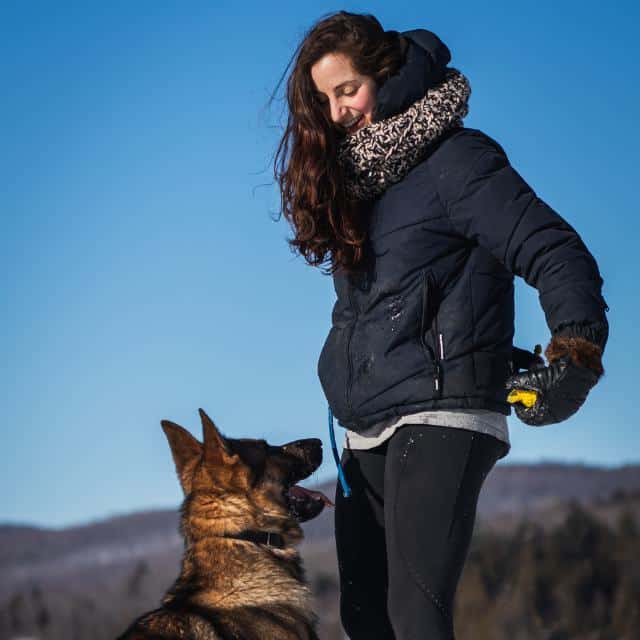 Évolution Canine