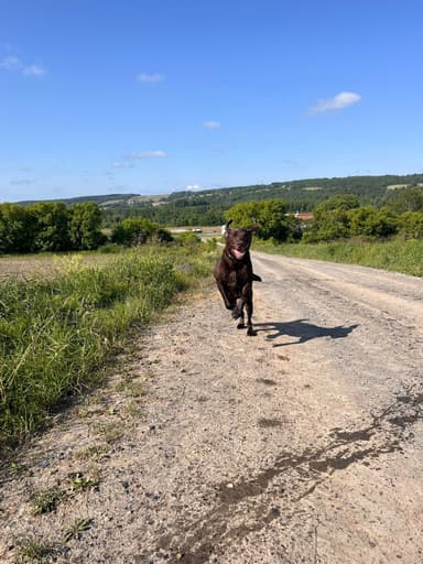 Harmony Ranch