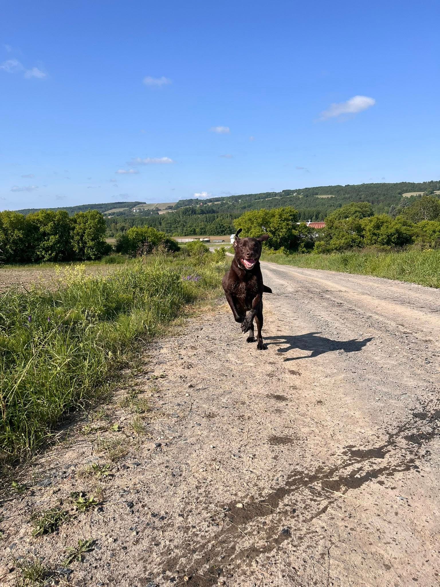 Harmony Ranch