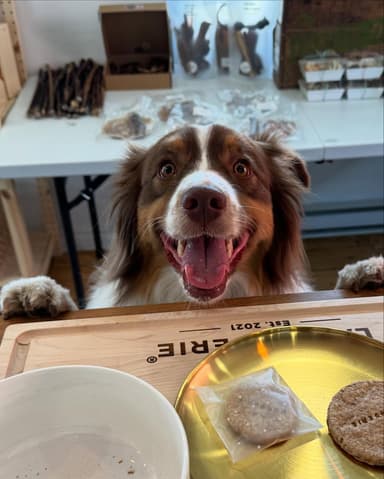La Doguerie