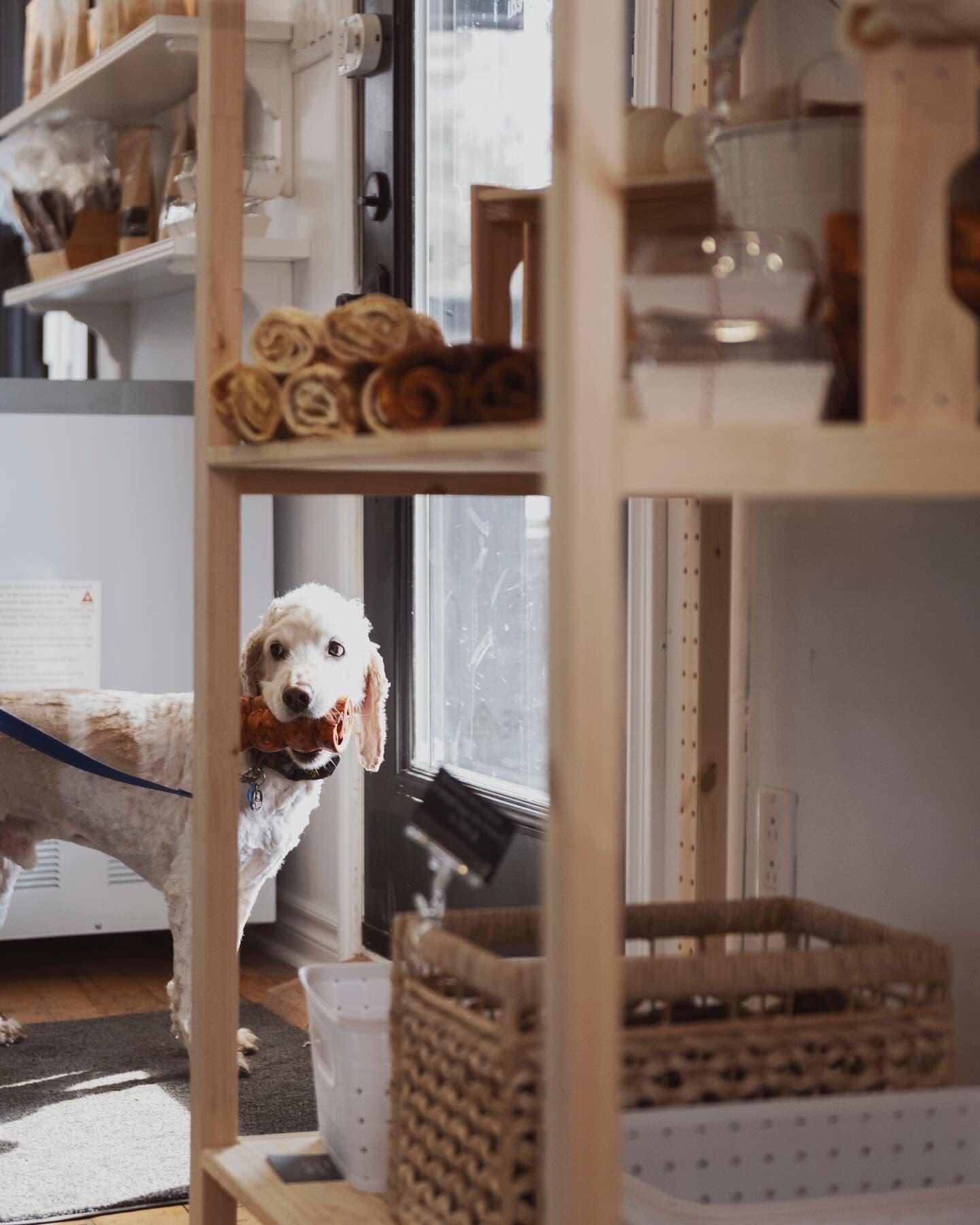 La Doguerie