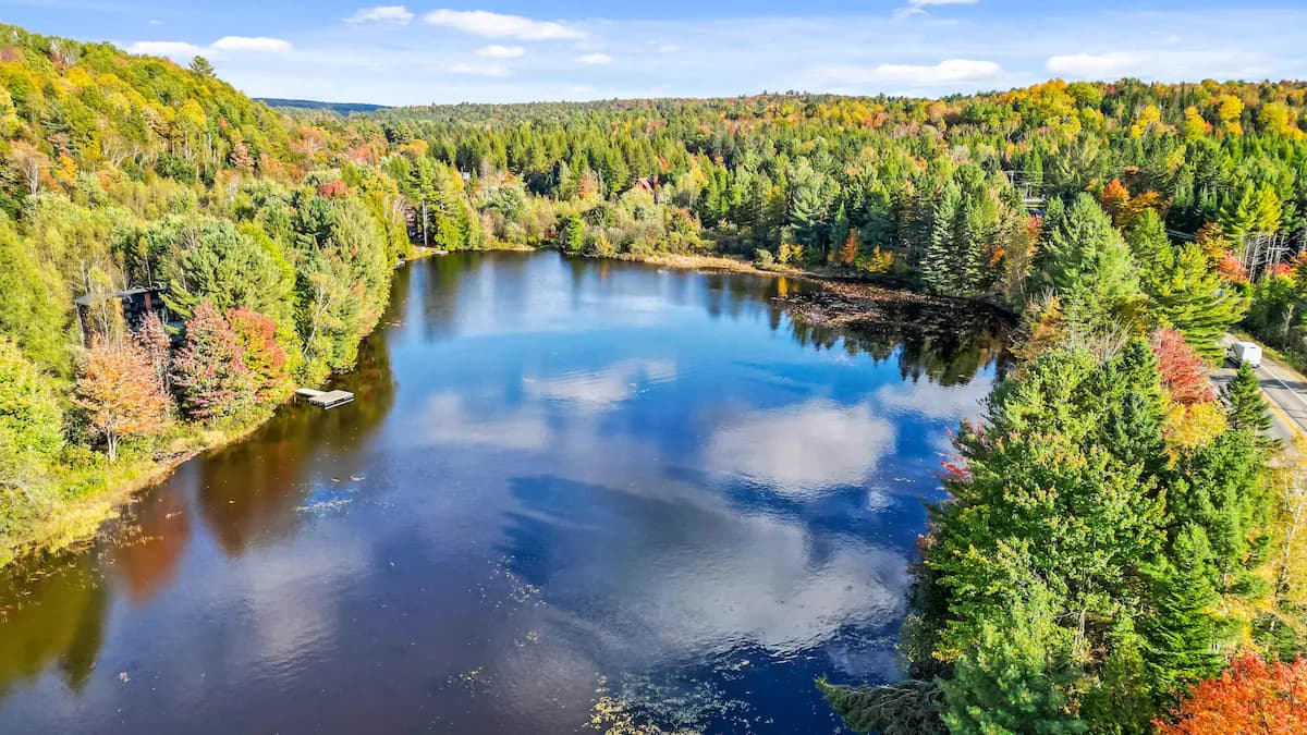 La Forêt Enchantée