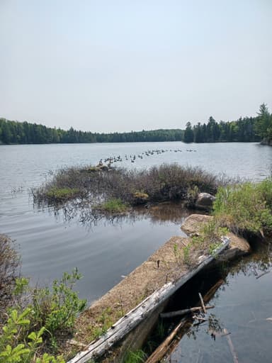 La Nature d'Alexis