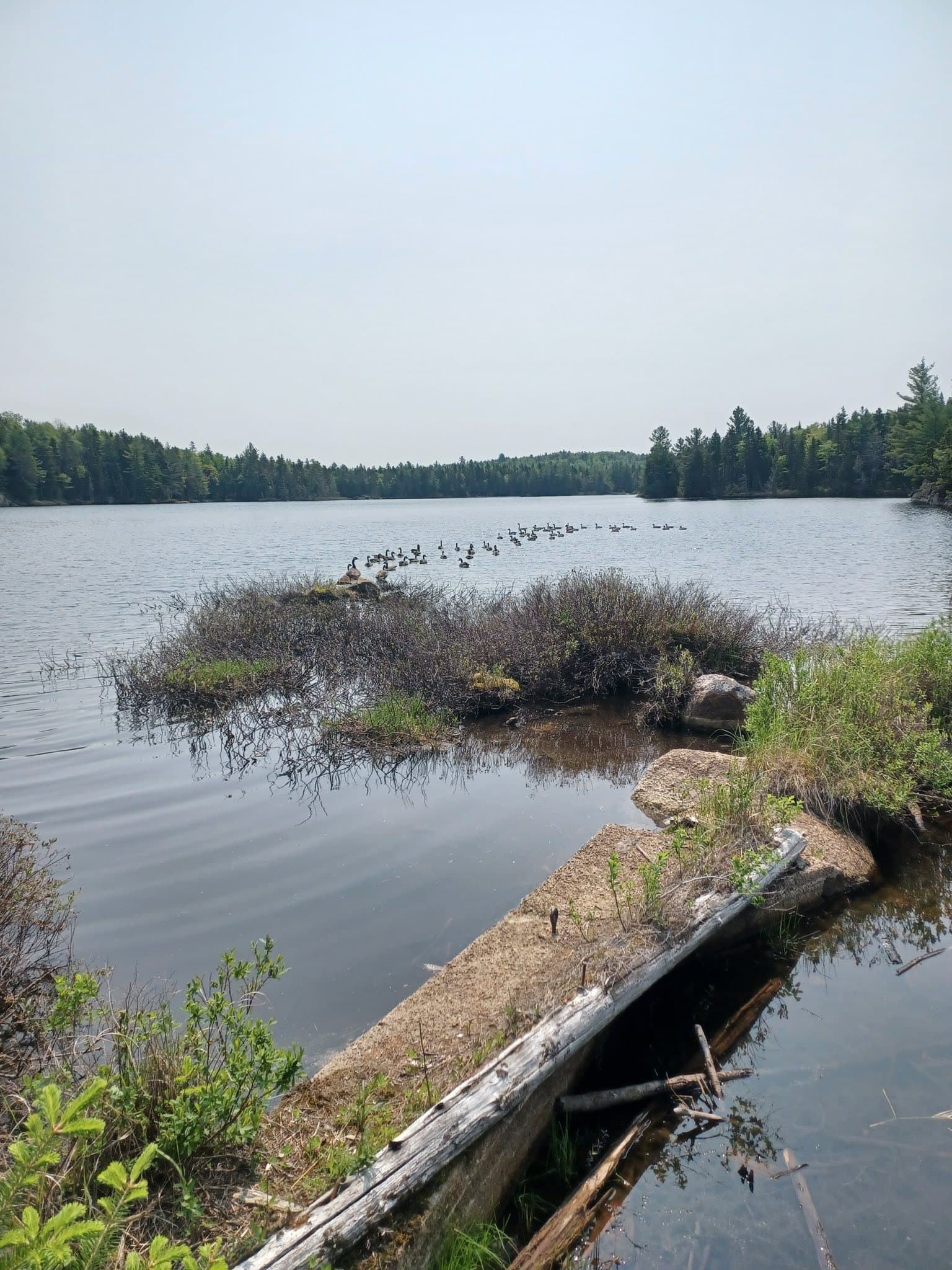 La Nature d'Alexis