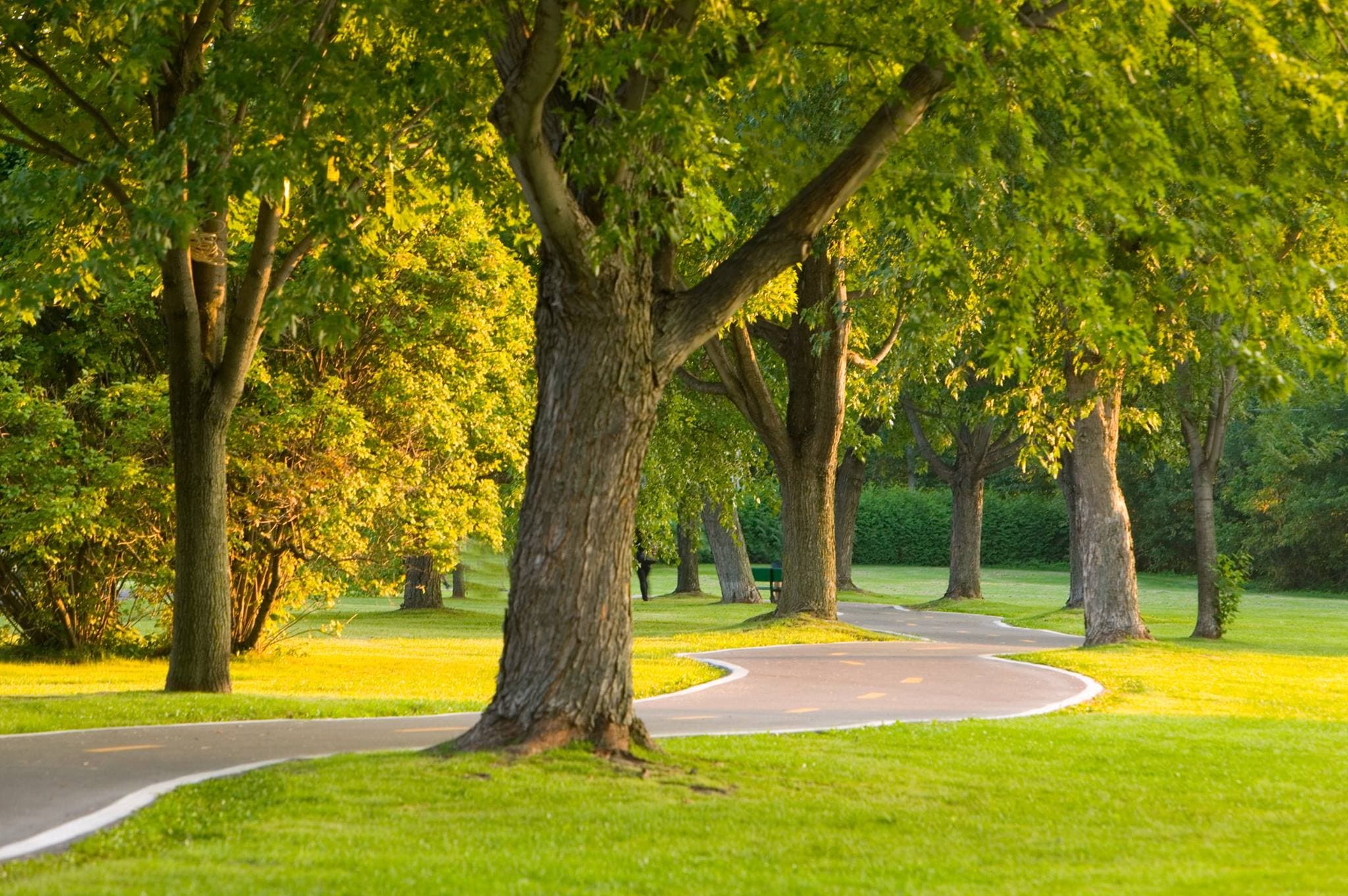 Parc Léo-Jacques