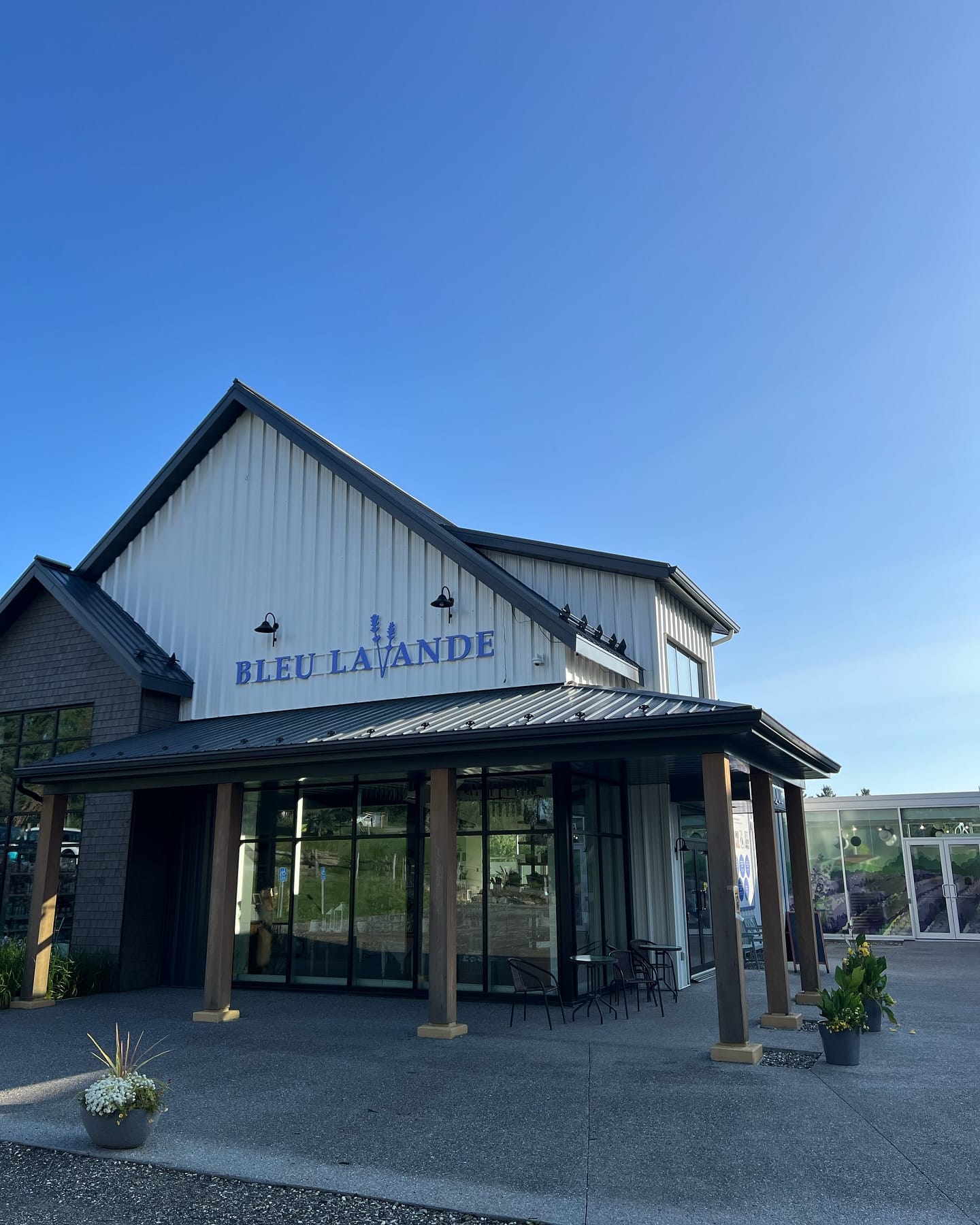 Bleu Lavande
