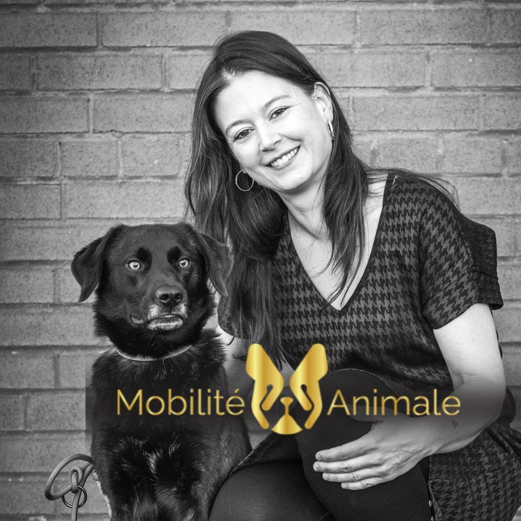 Mobilité Animale