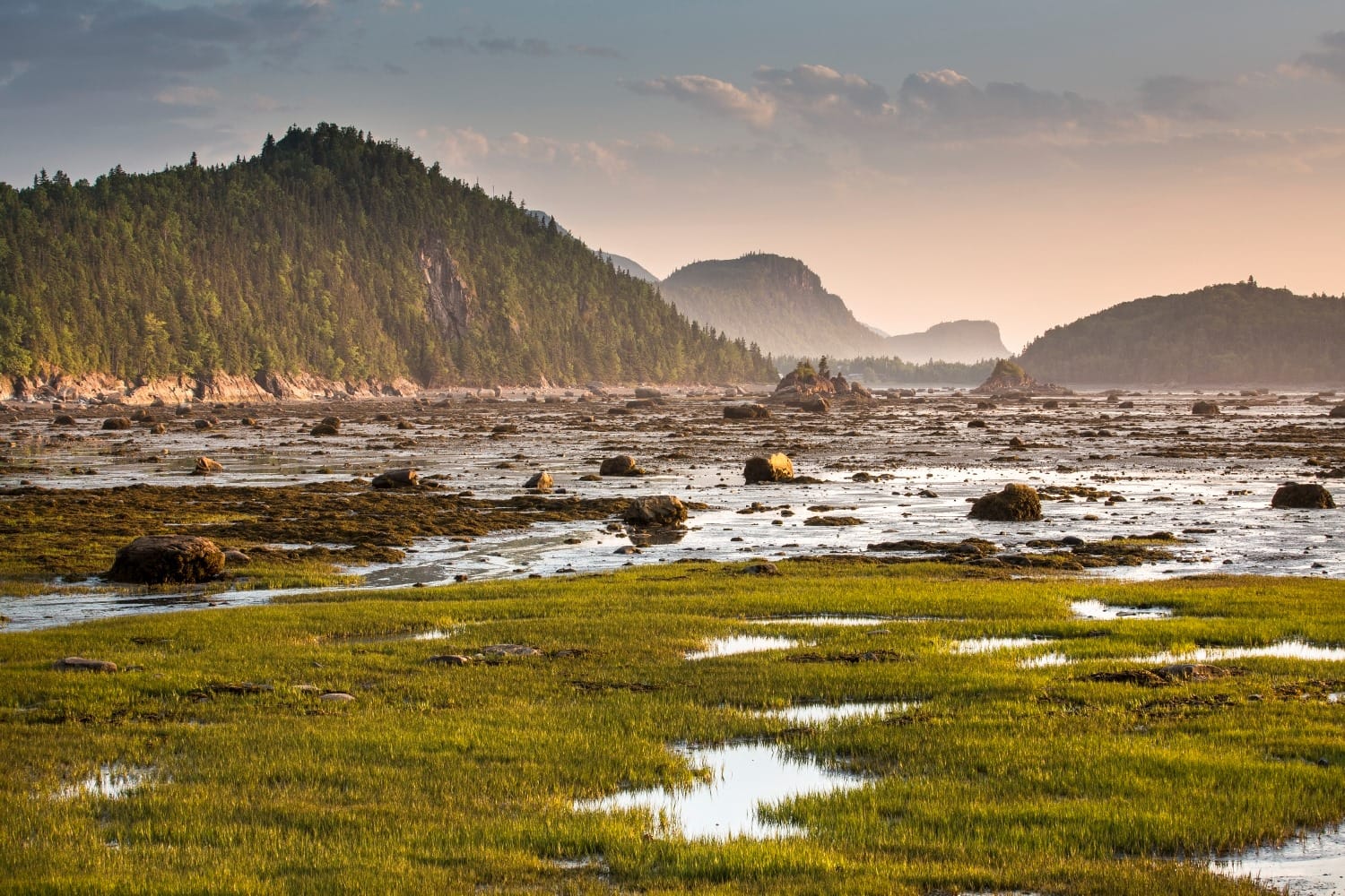 Parc national du Bic