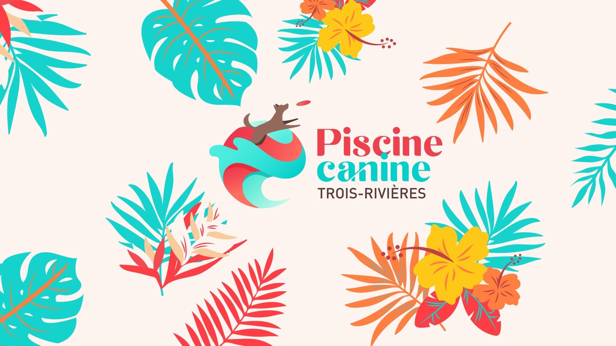 Piscine Canine Trois-Rivières