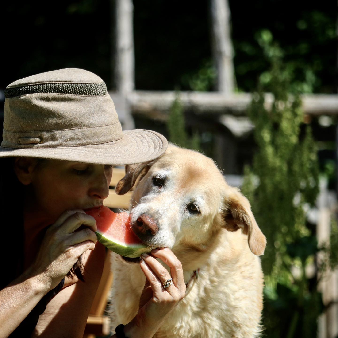 Ranch Canin Manitou