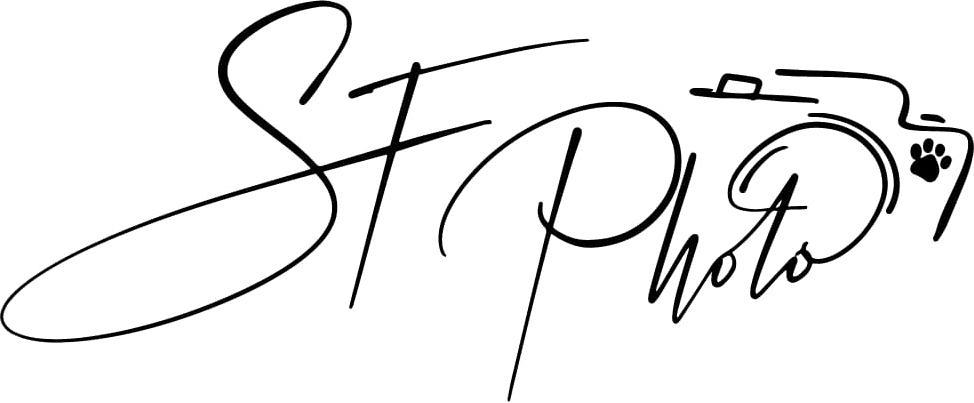Logo de S.F Photo