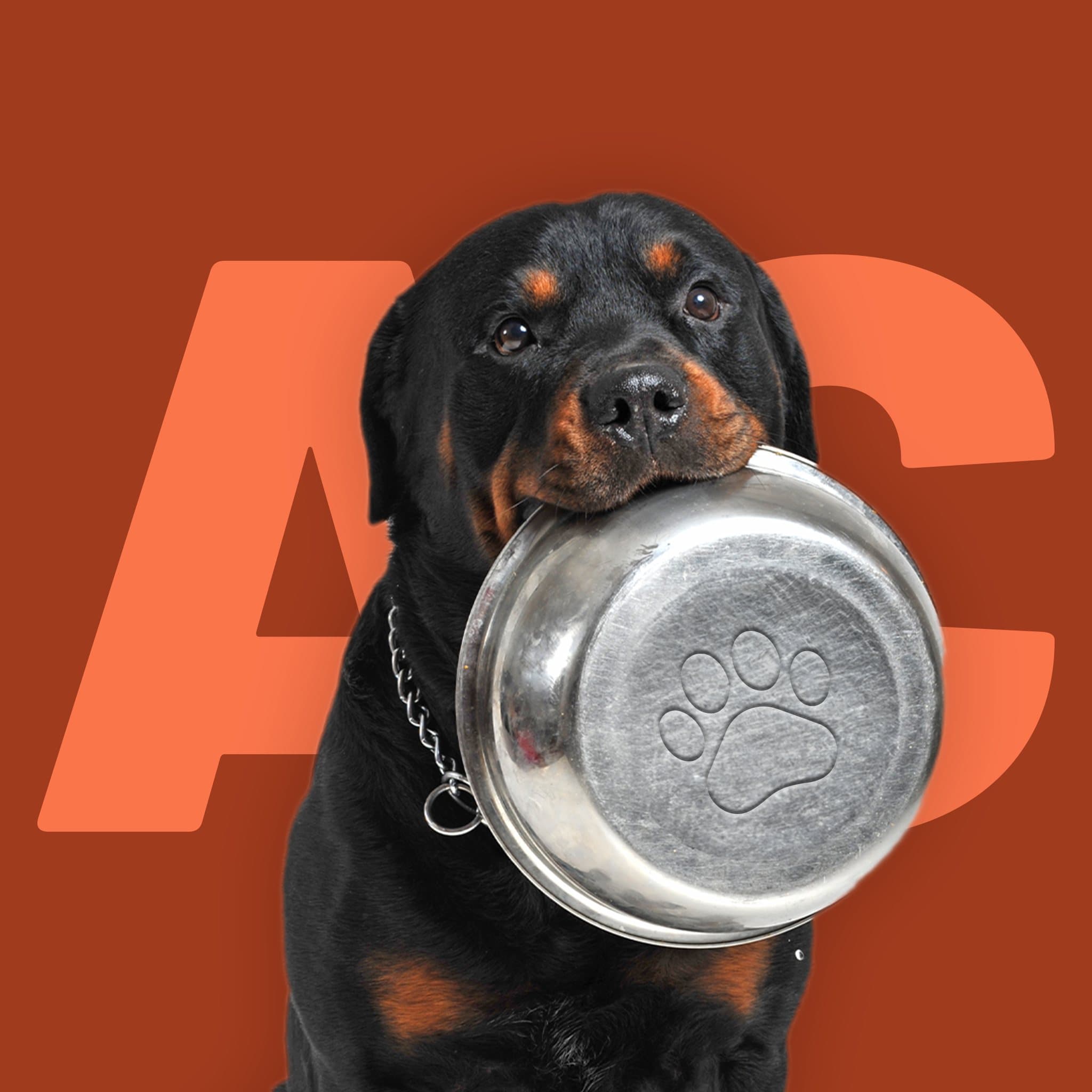 Aliments Crus Grenier