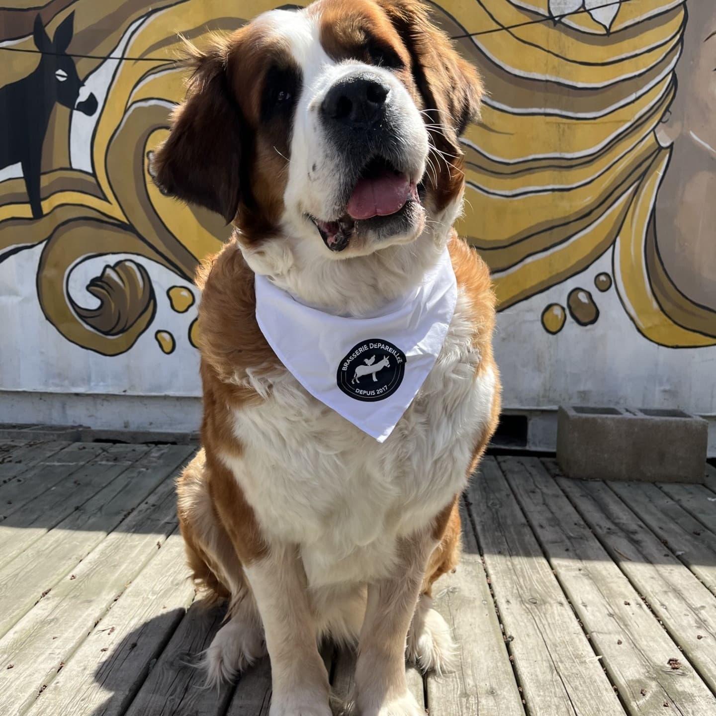 Brasserie Dépareillée