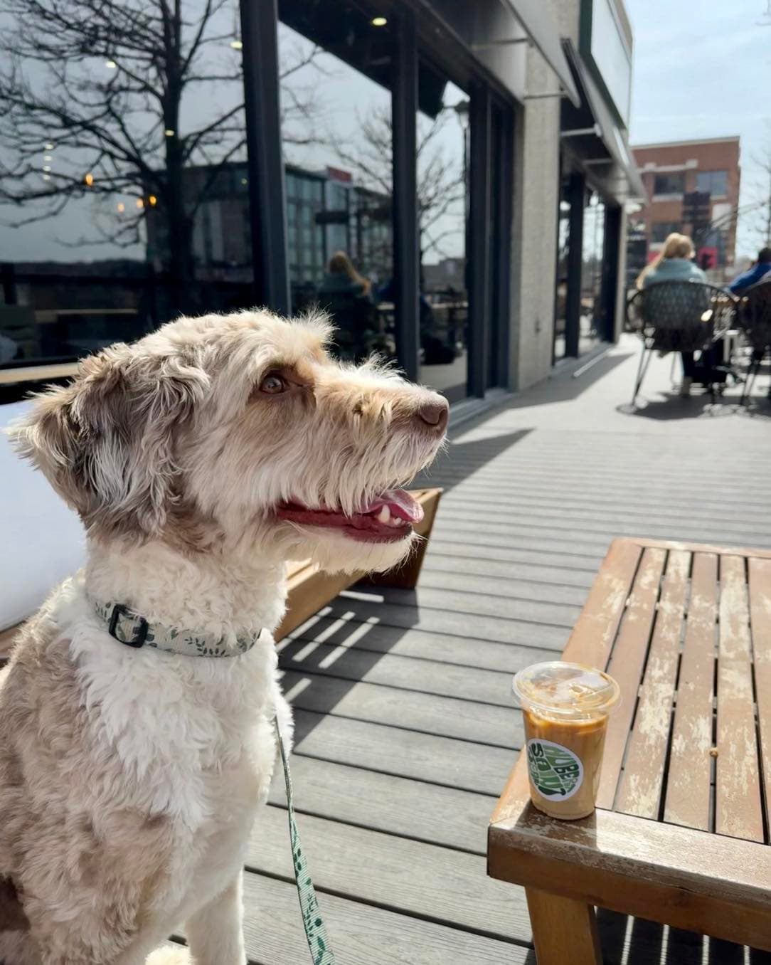 Café Hubert Saint-Jean - Sherbrooke
