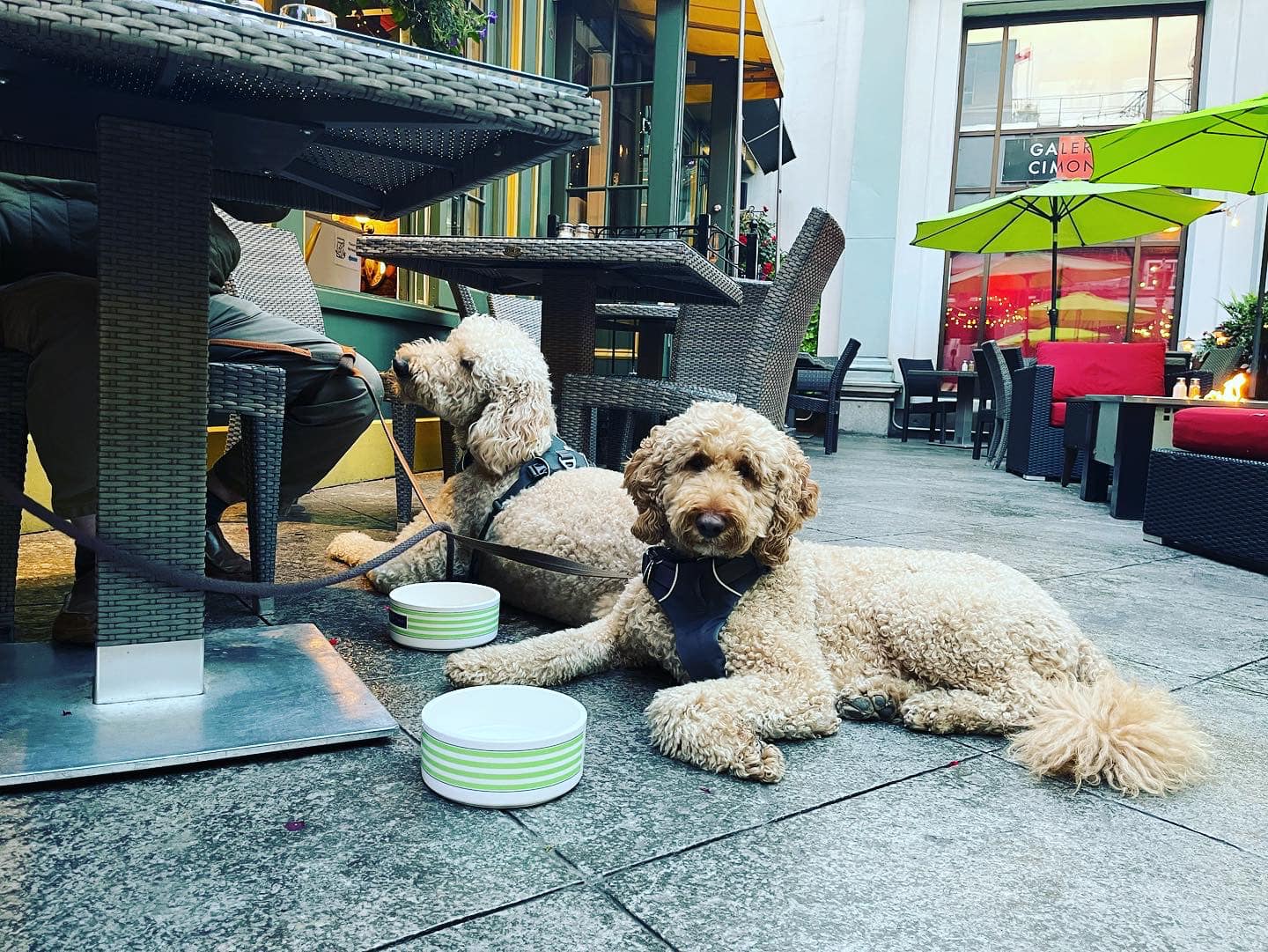 Café-Terrasse La Nouvelle-France