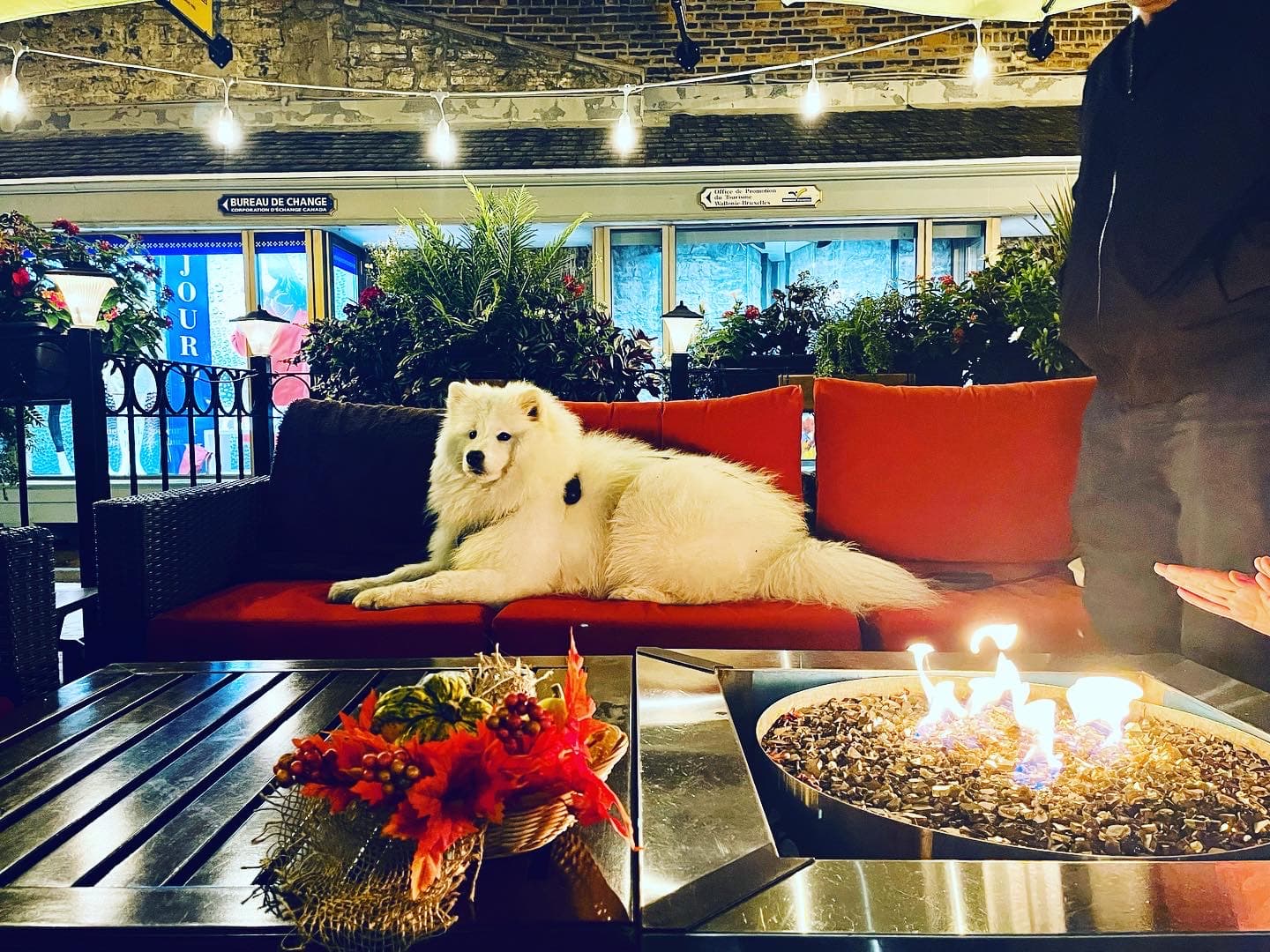 Café-Terrasse La Nouvelle-France