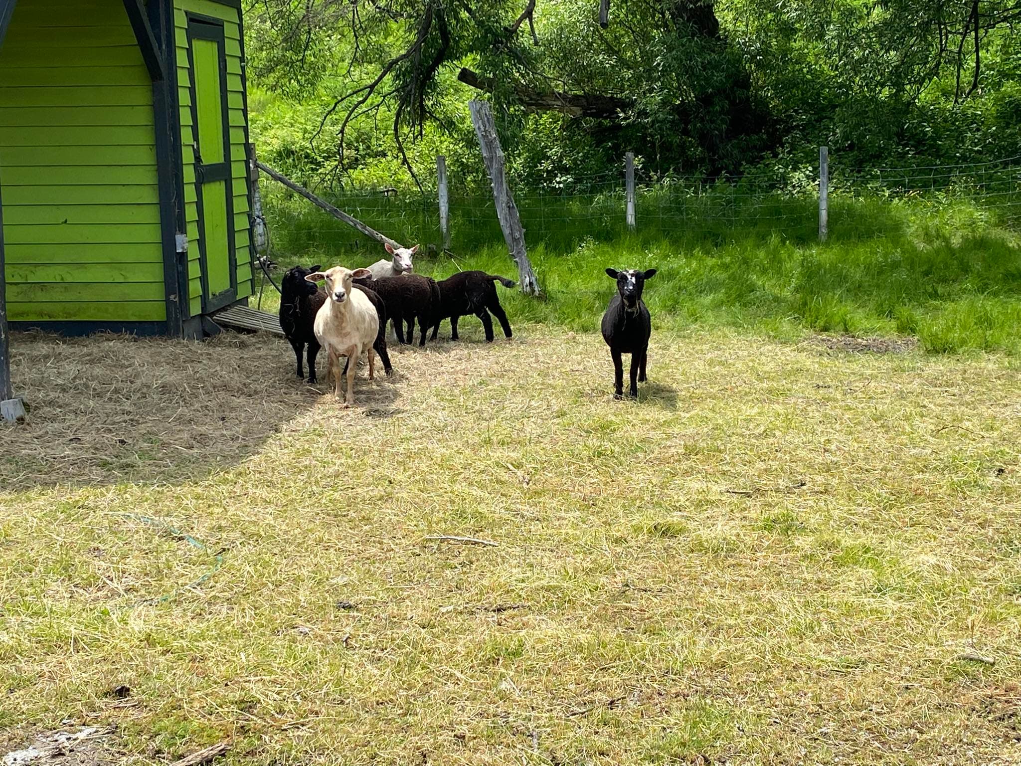 Camping au bord de la rivière
