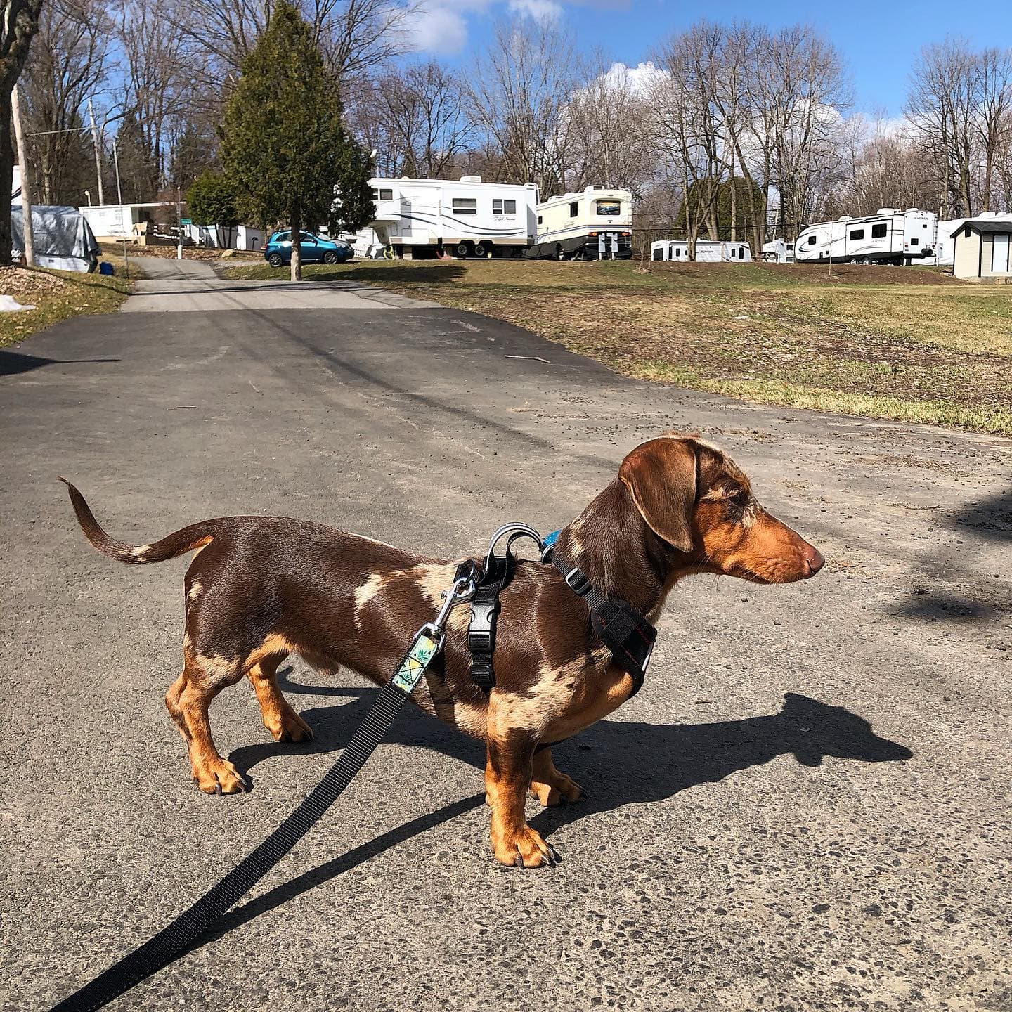 Camping Au Plateau 5 Étoiles