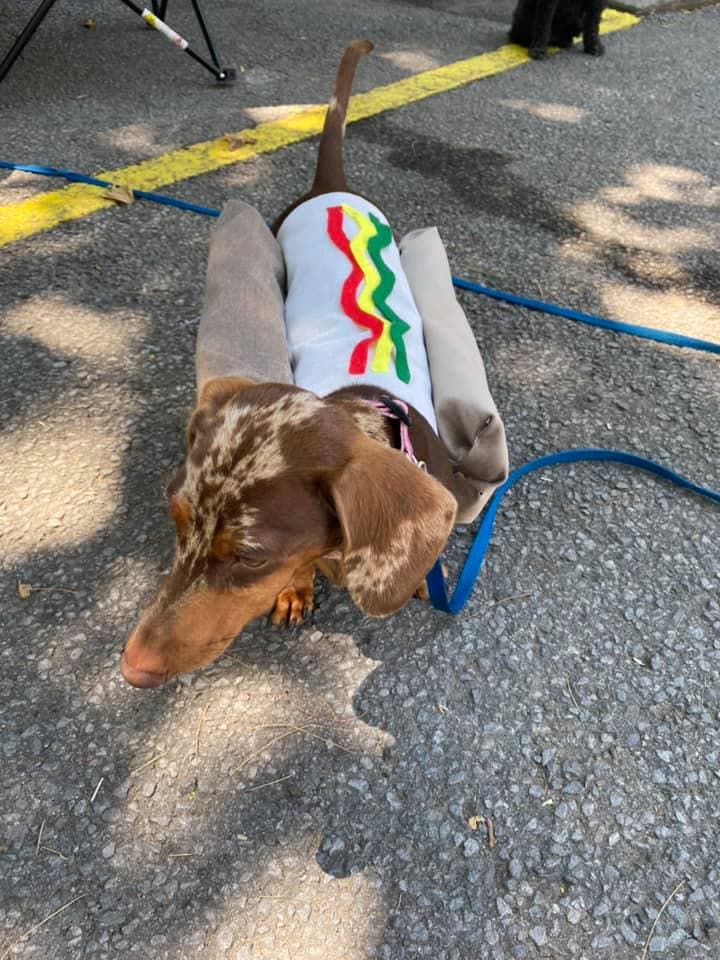 Camping Au Plateau 5 Étoiles