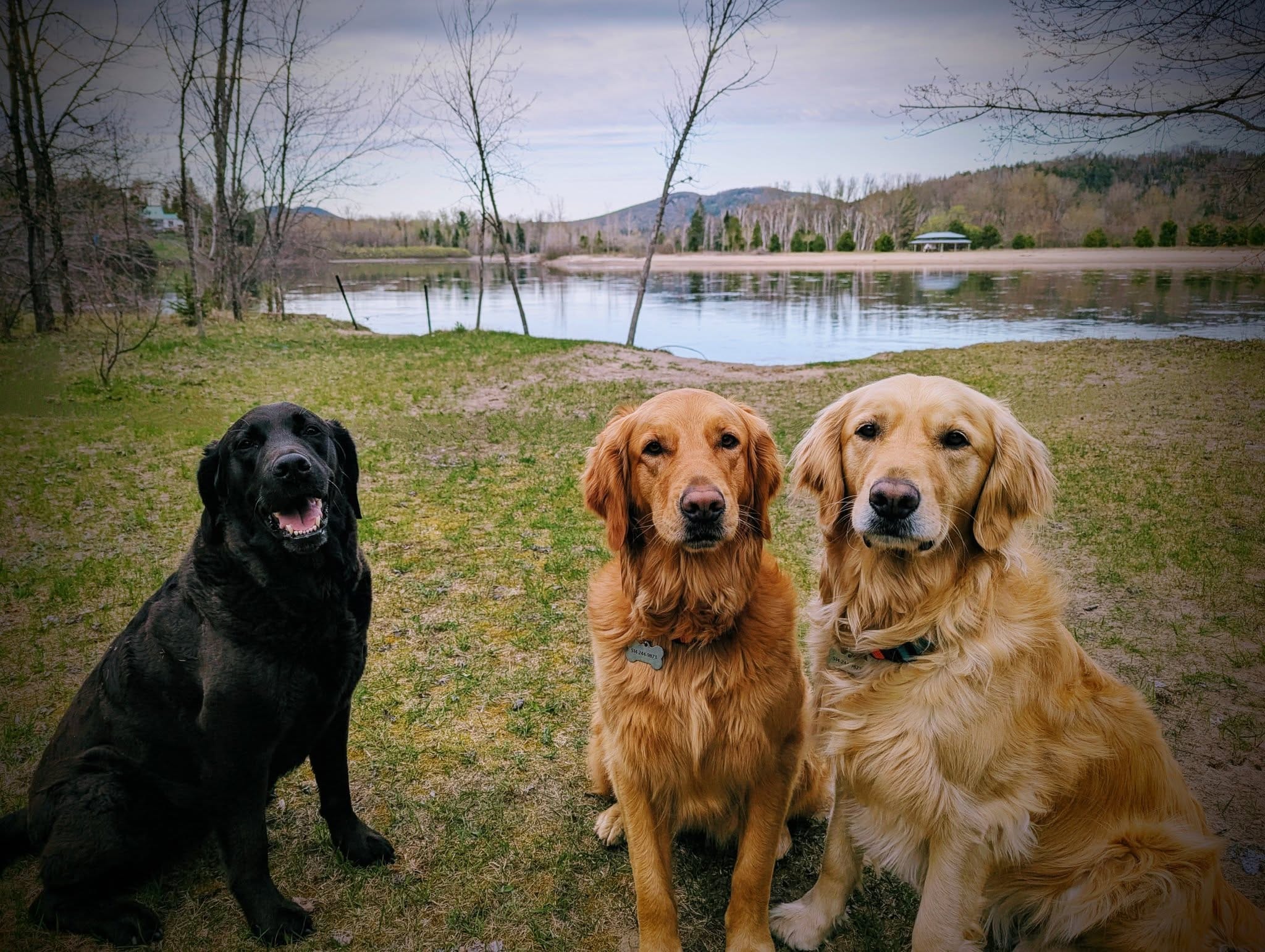 Camping Domaine des Cèdres