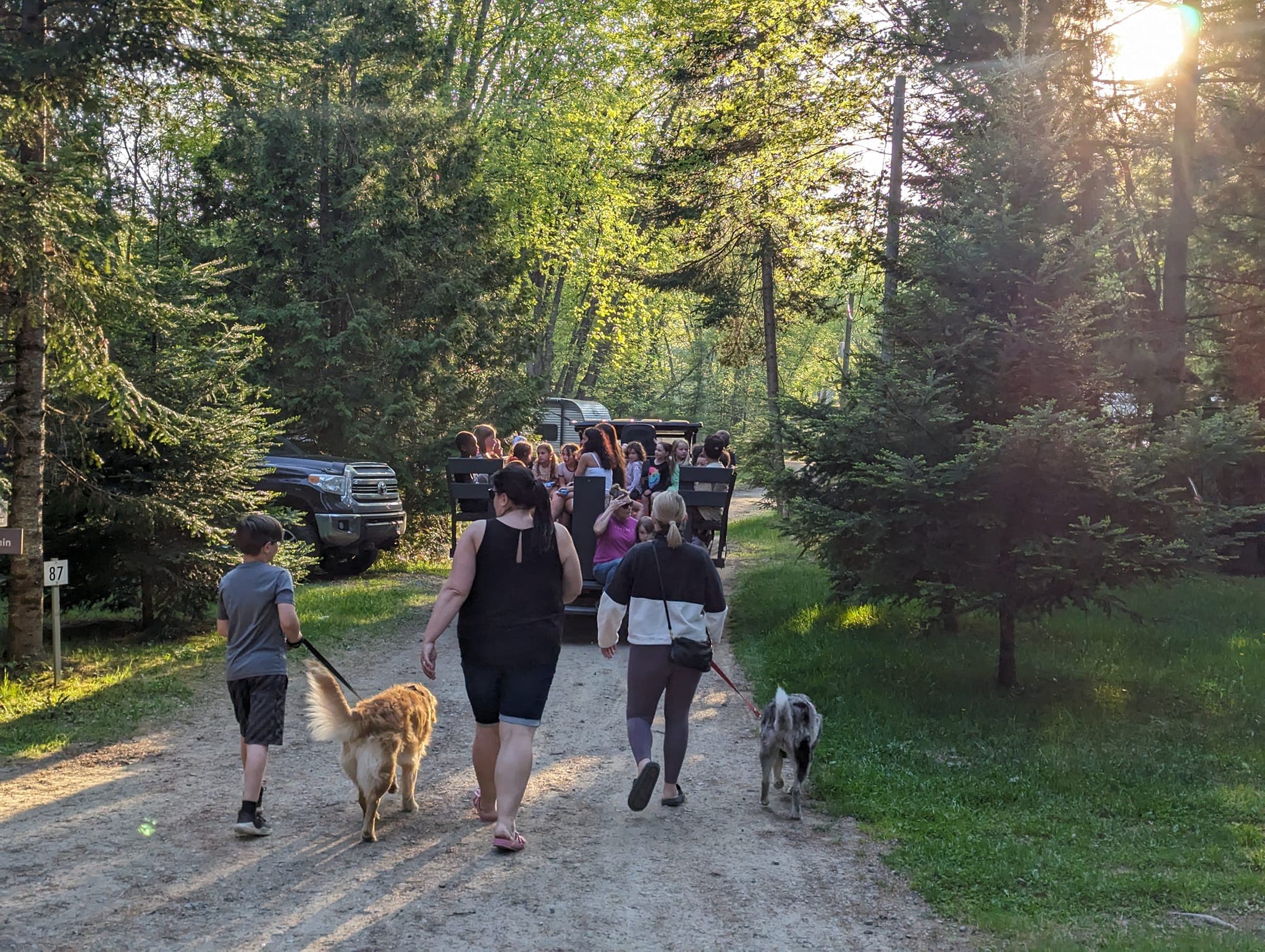 Camping Domaine des Cèdres