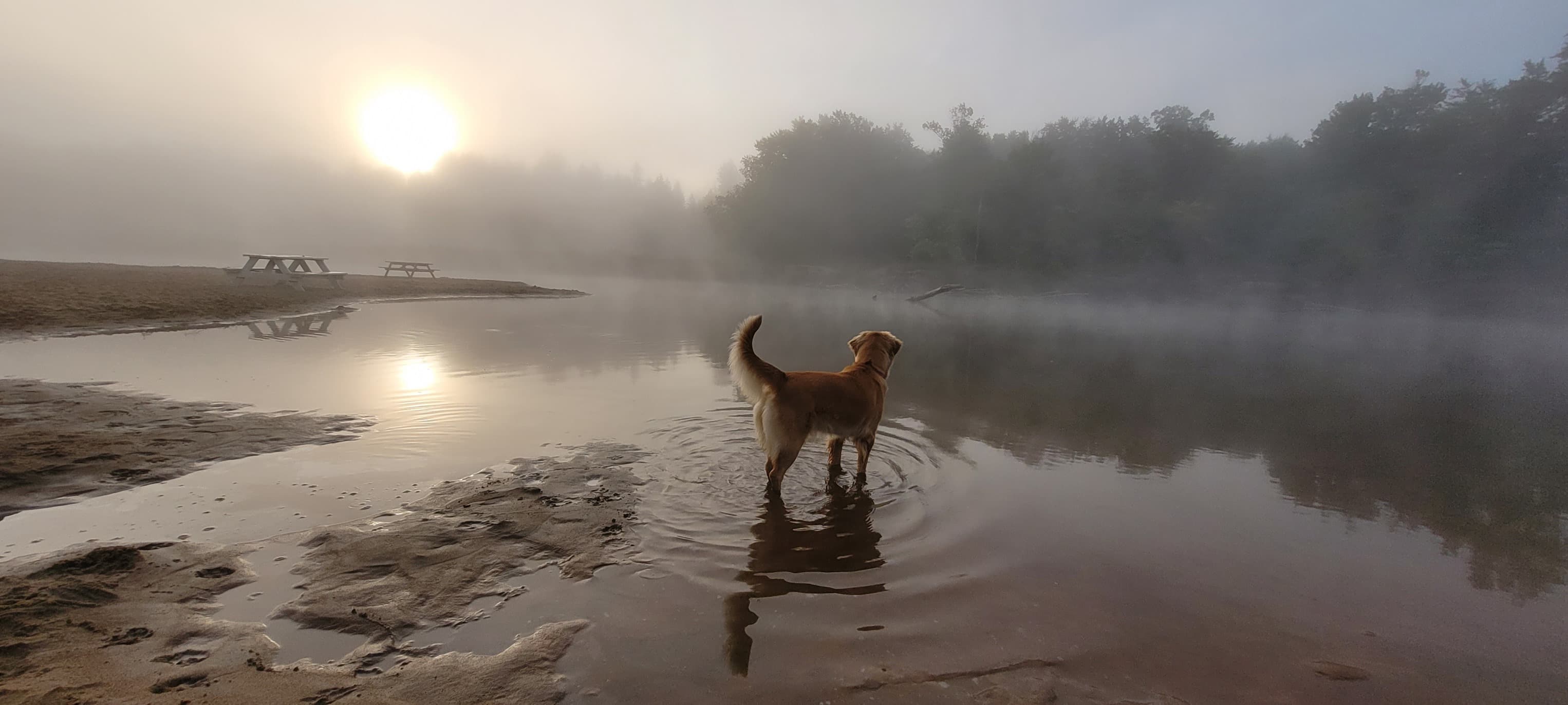 Camping Domaine des Cèdres