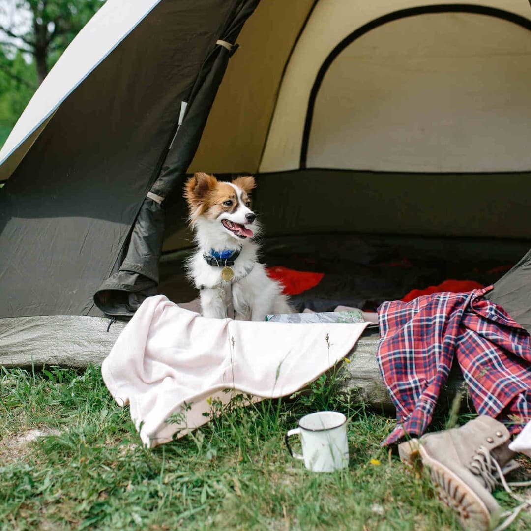 Camping et chalets Etsanha