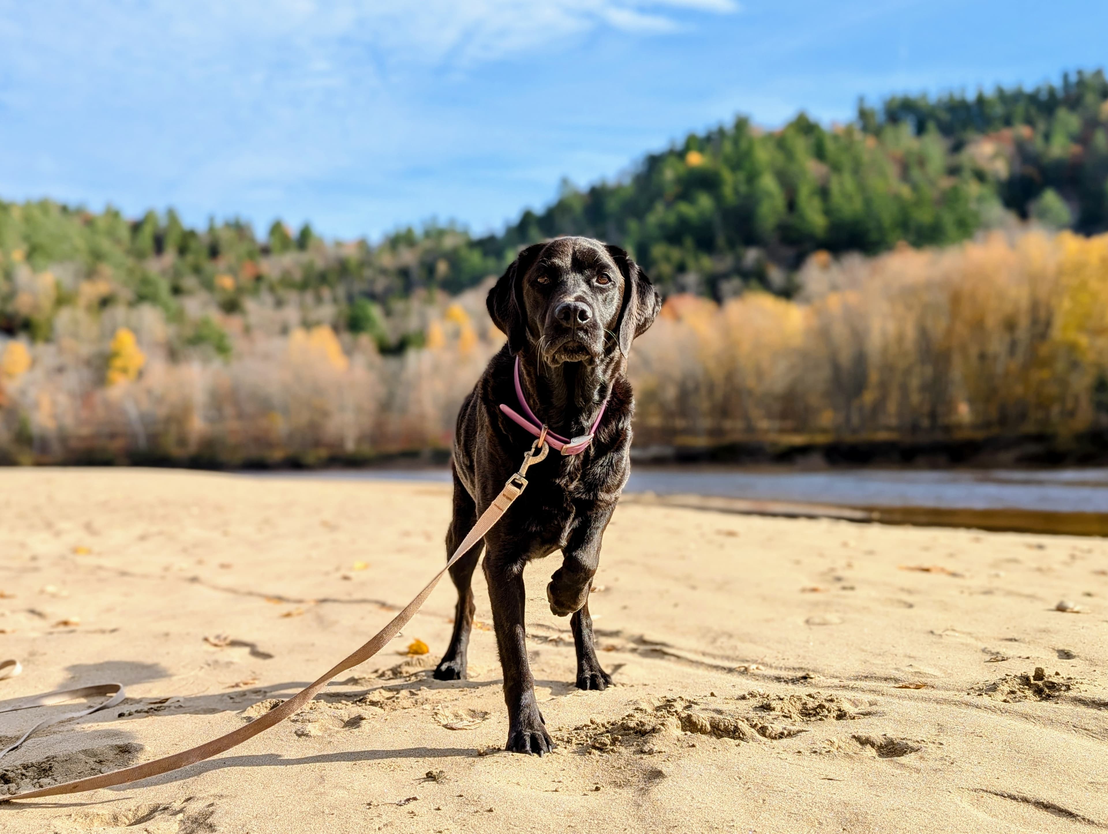 Camping La Conception