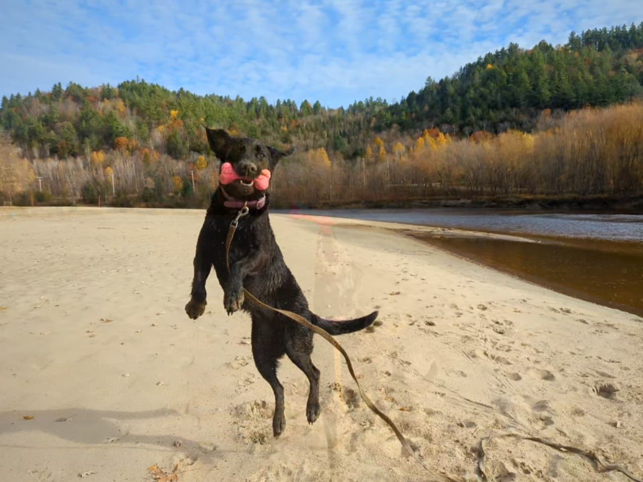 Camping La Conception