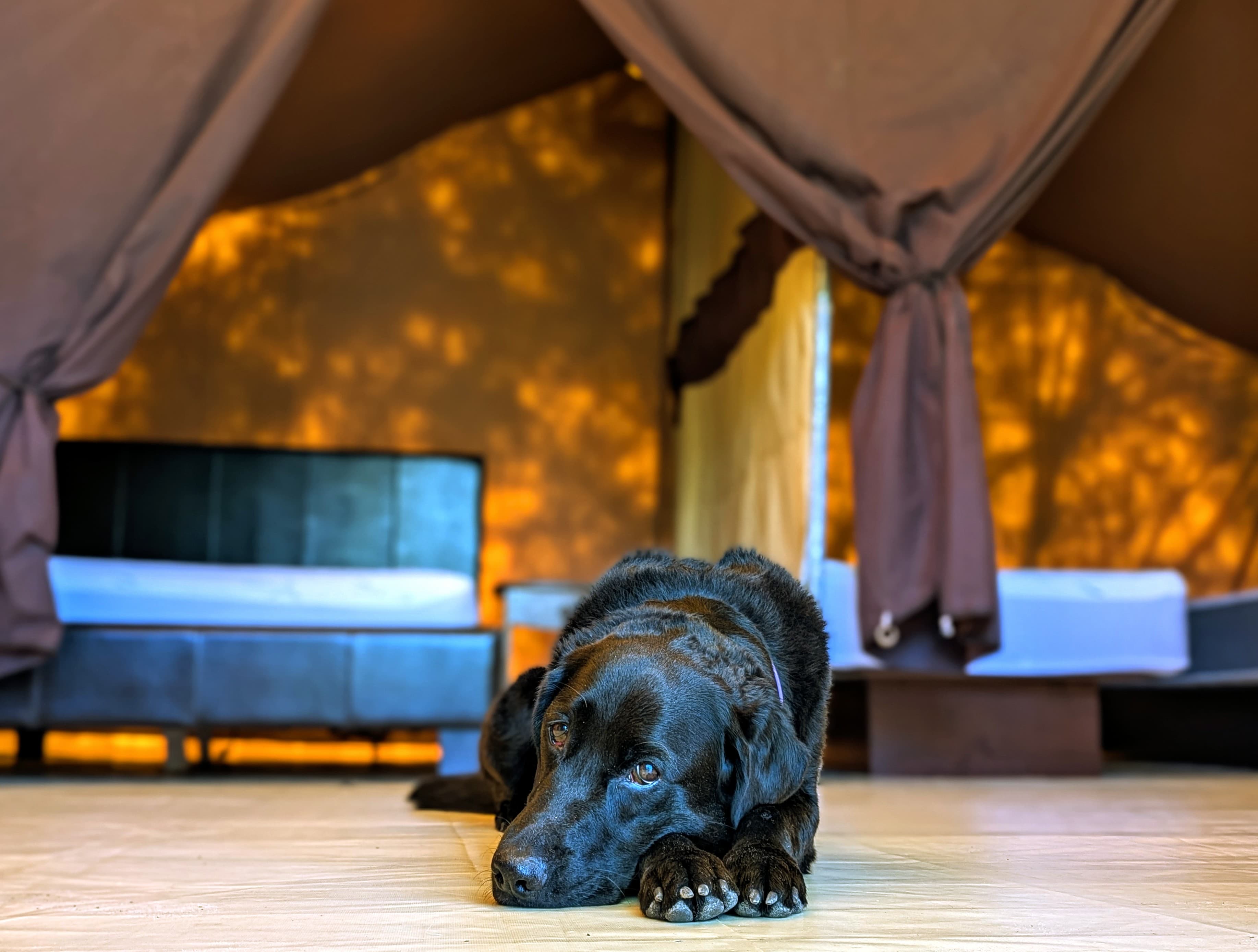 Camping La Conception