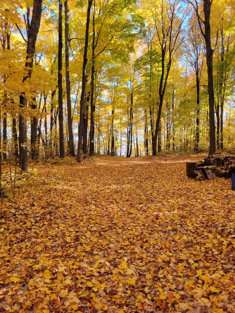 Centre Canin LeGardeur
