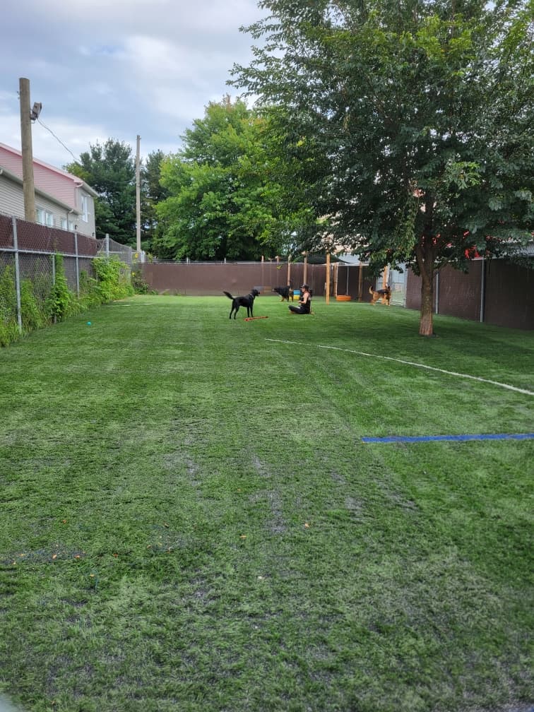 Centre Canin LeGardeur