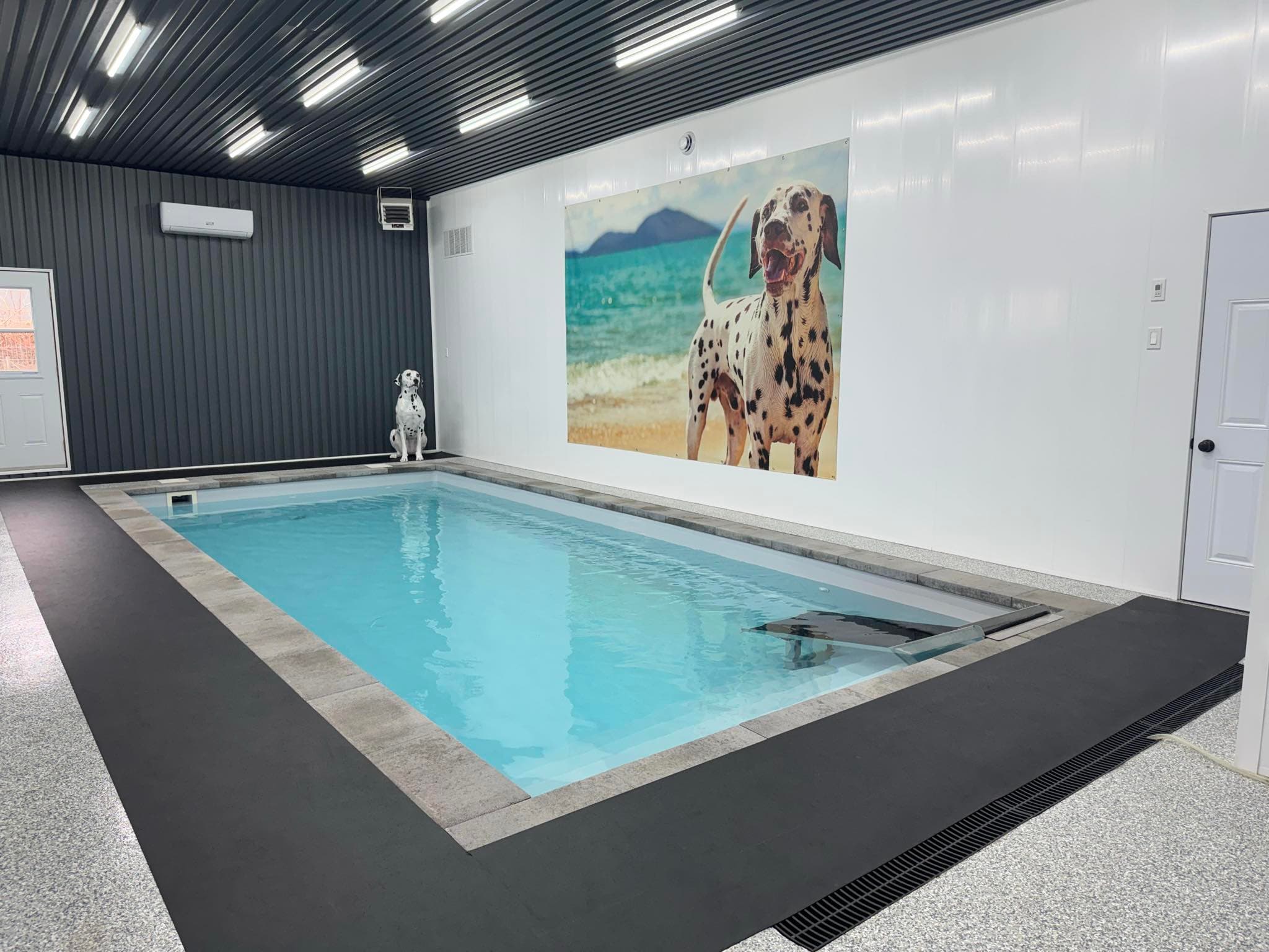 Centre Canin Shanelle & Cie