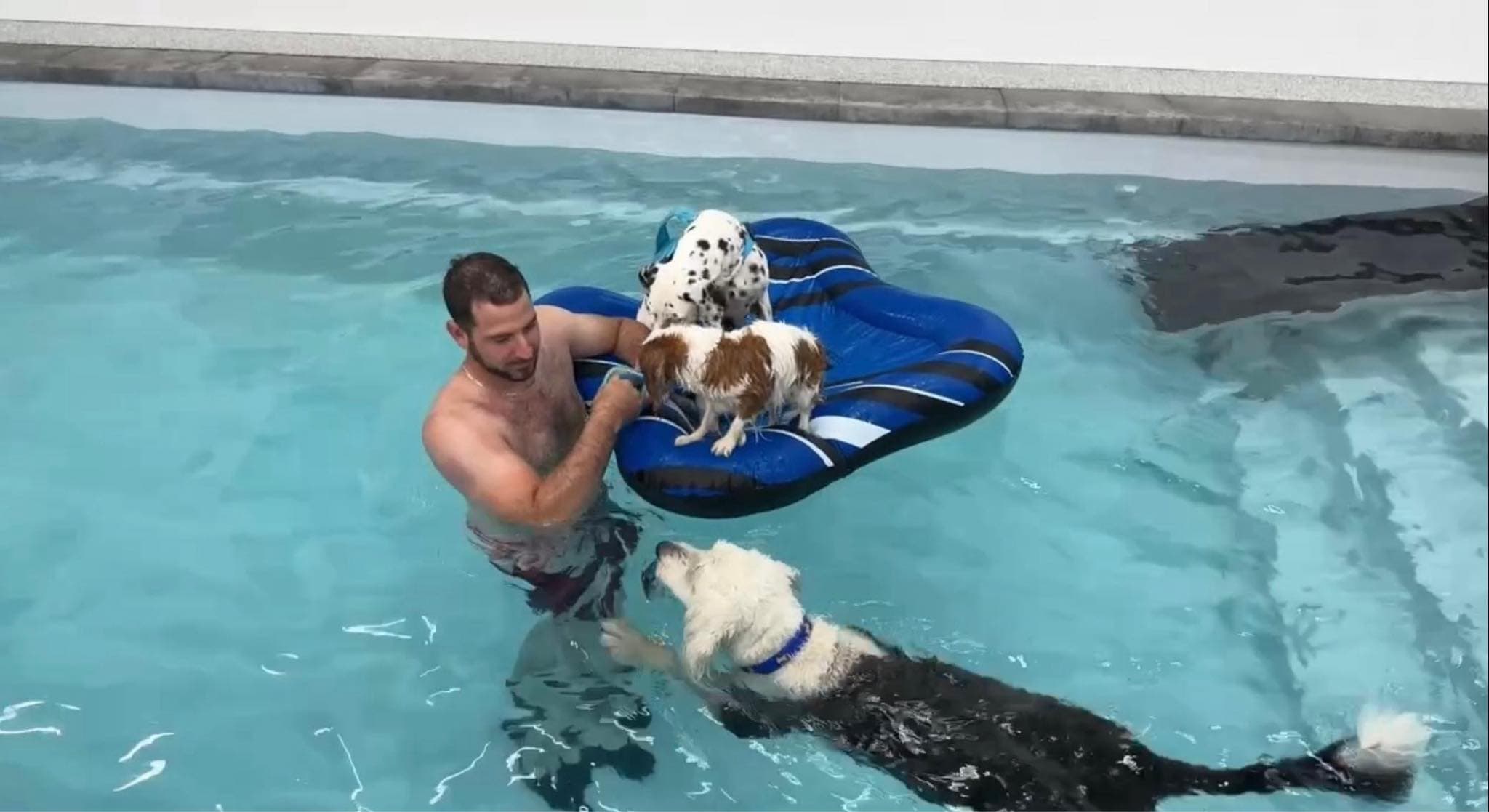 Centre Canin Shanelle & Cie