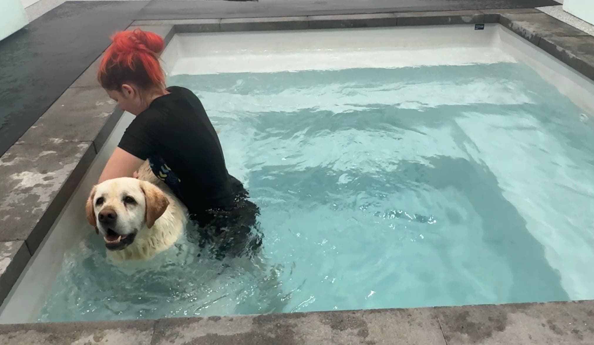 Centre Canin Shanelle & Cie