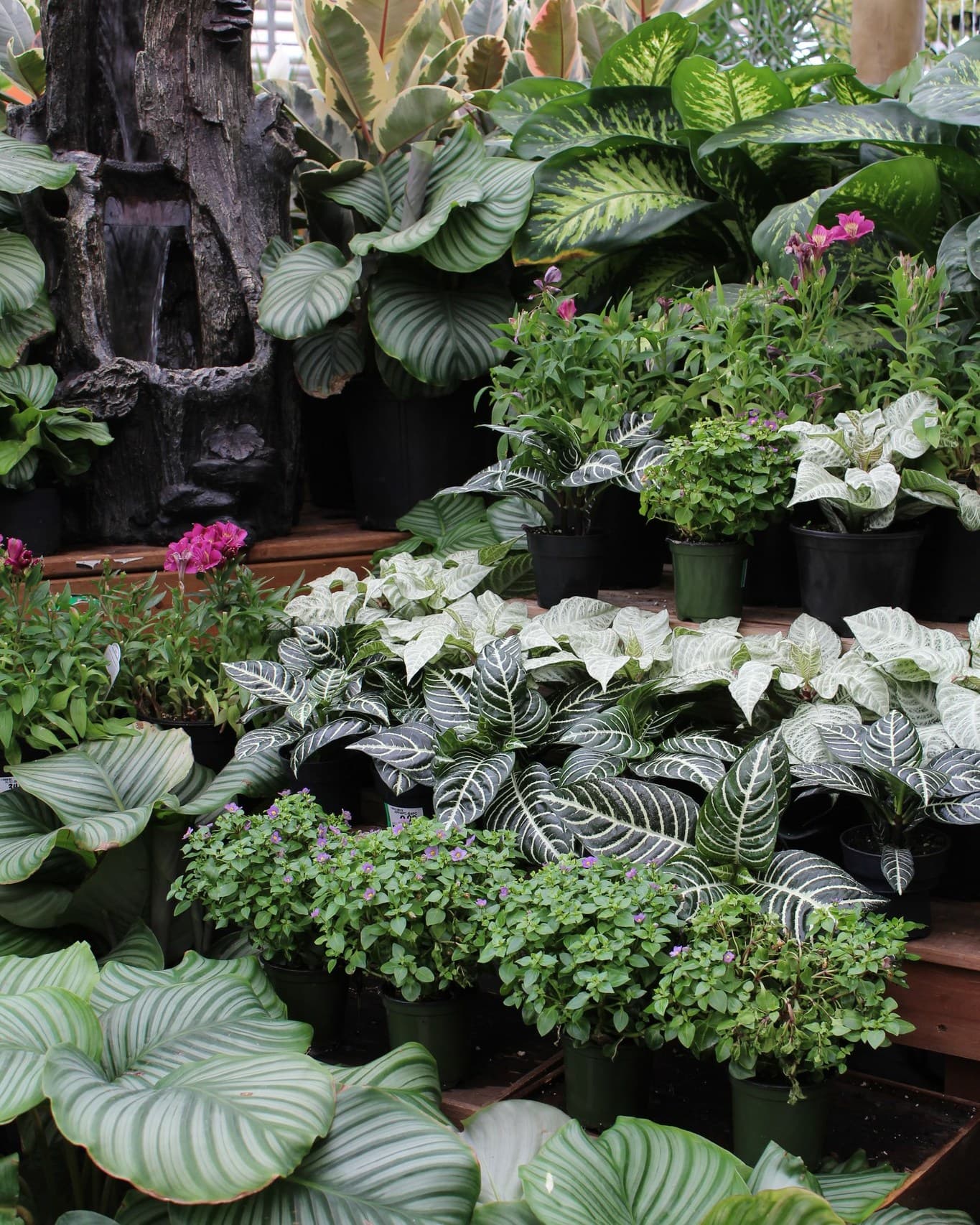 Centre de Jardin Floréal