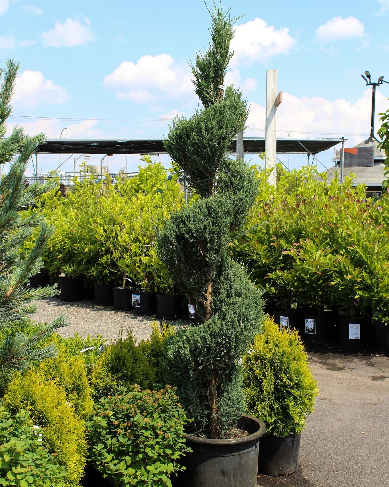 Centre de Jardin Floréal