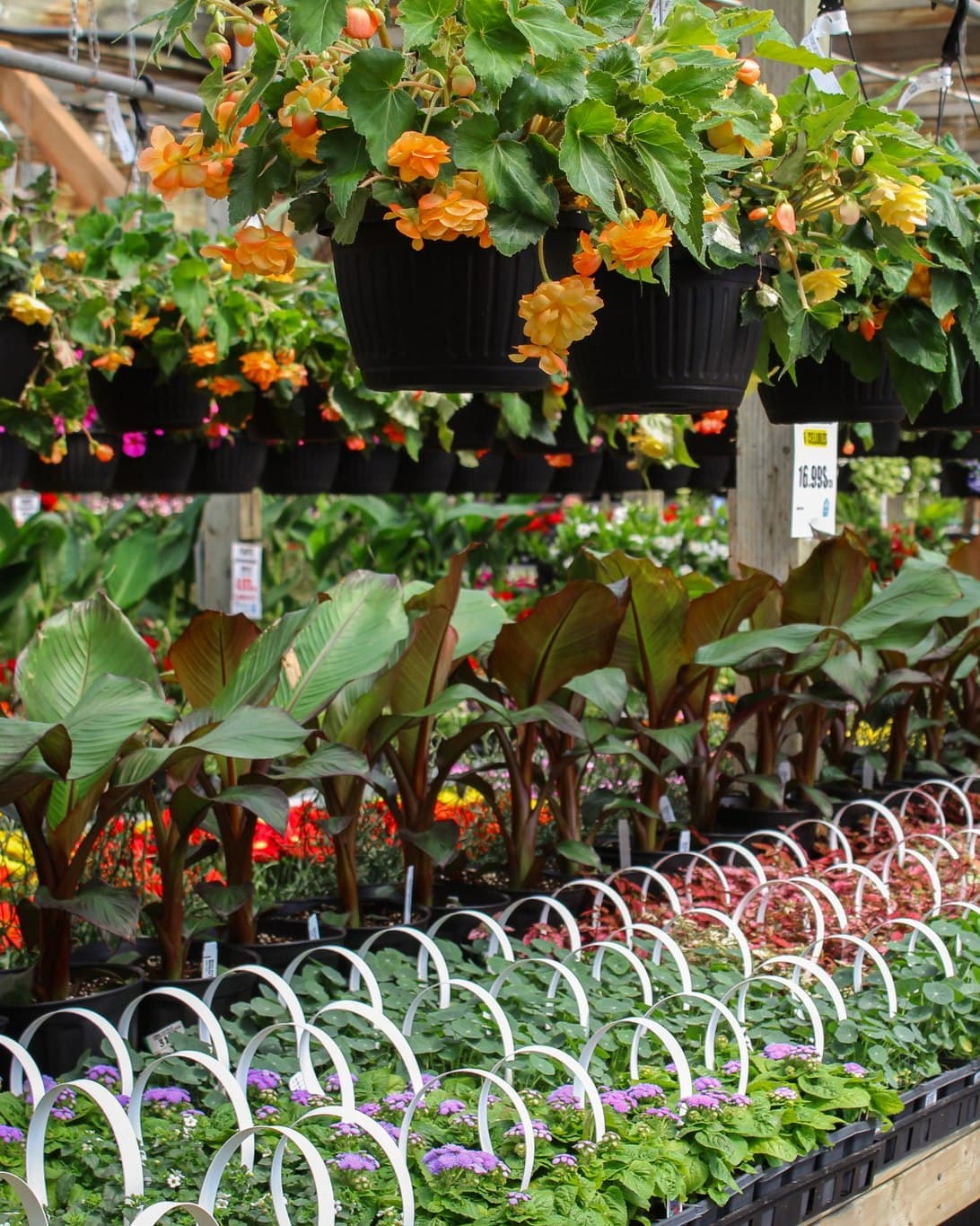 Centre de Jardin Floréal