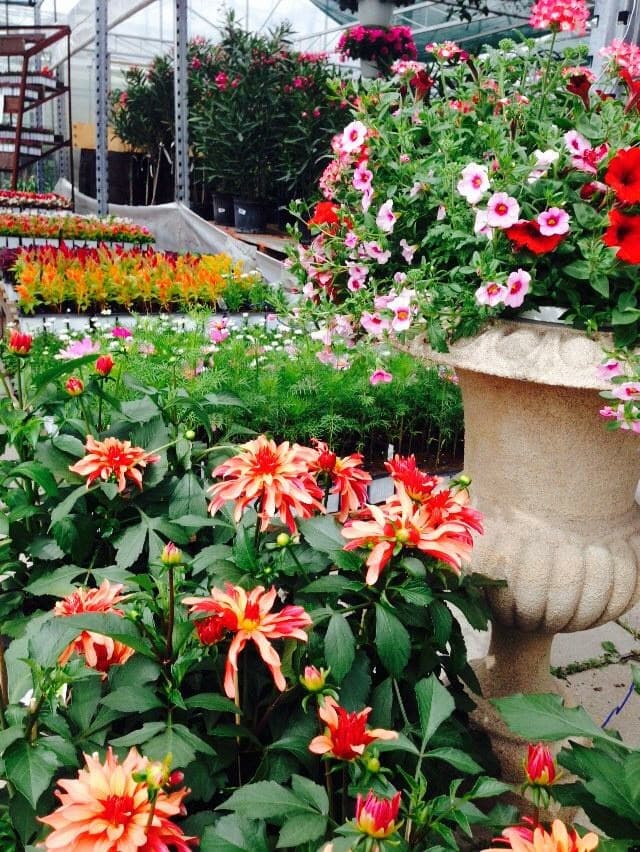 Centre d’horticulture Regimbal