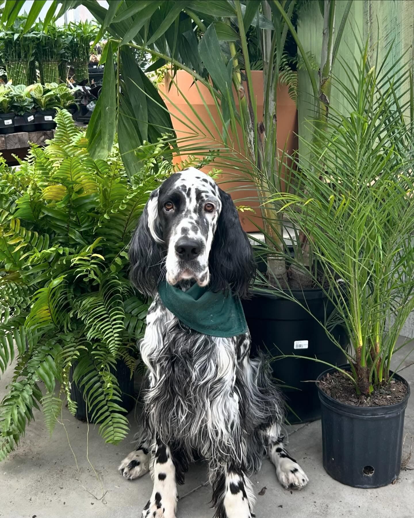 Centre Horticole Bastien