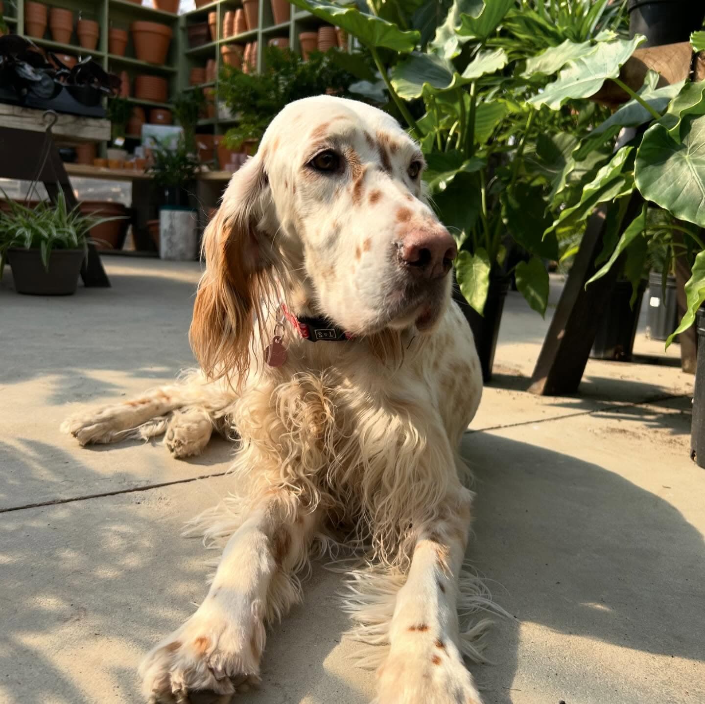 Centre Horticole Bastien