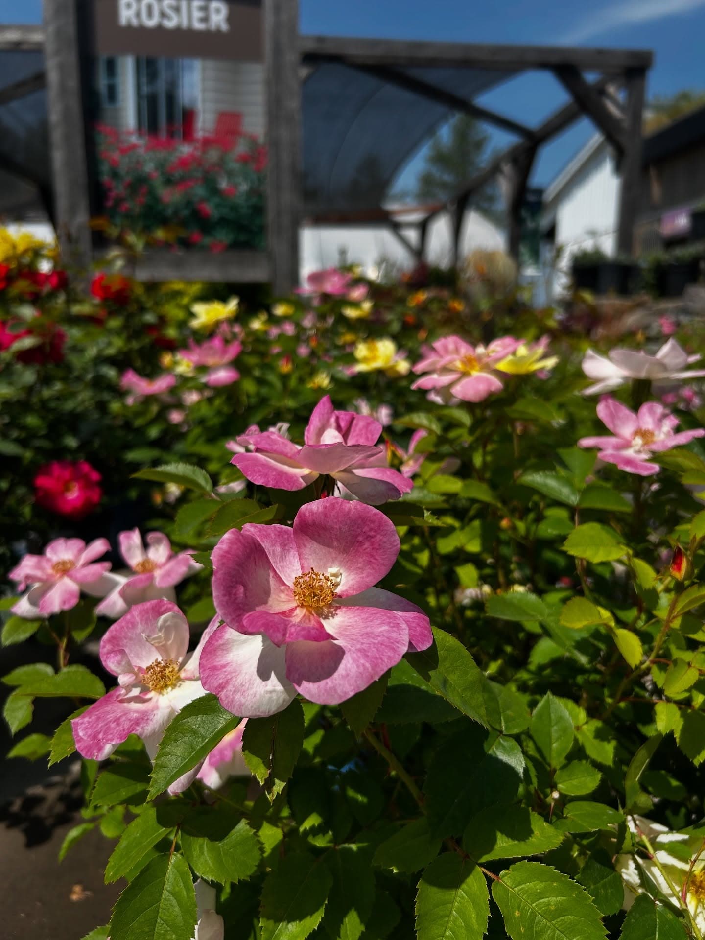 Centre Horticole Bastien