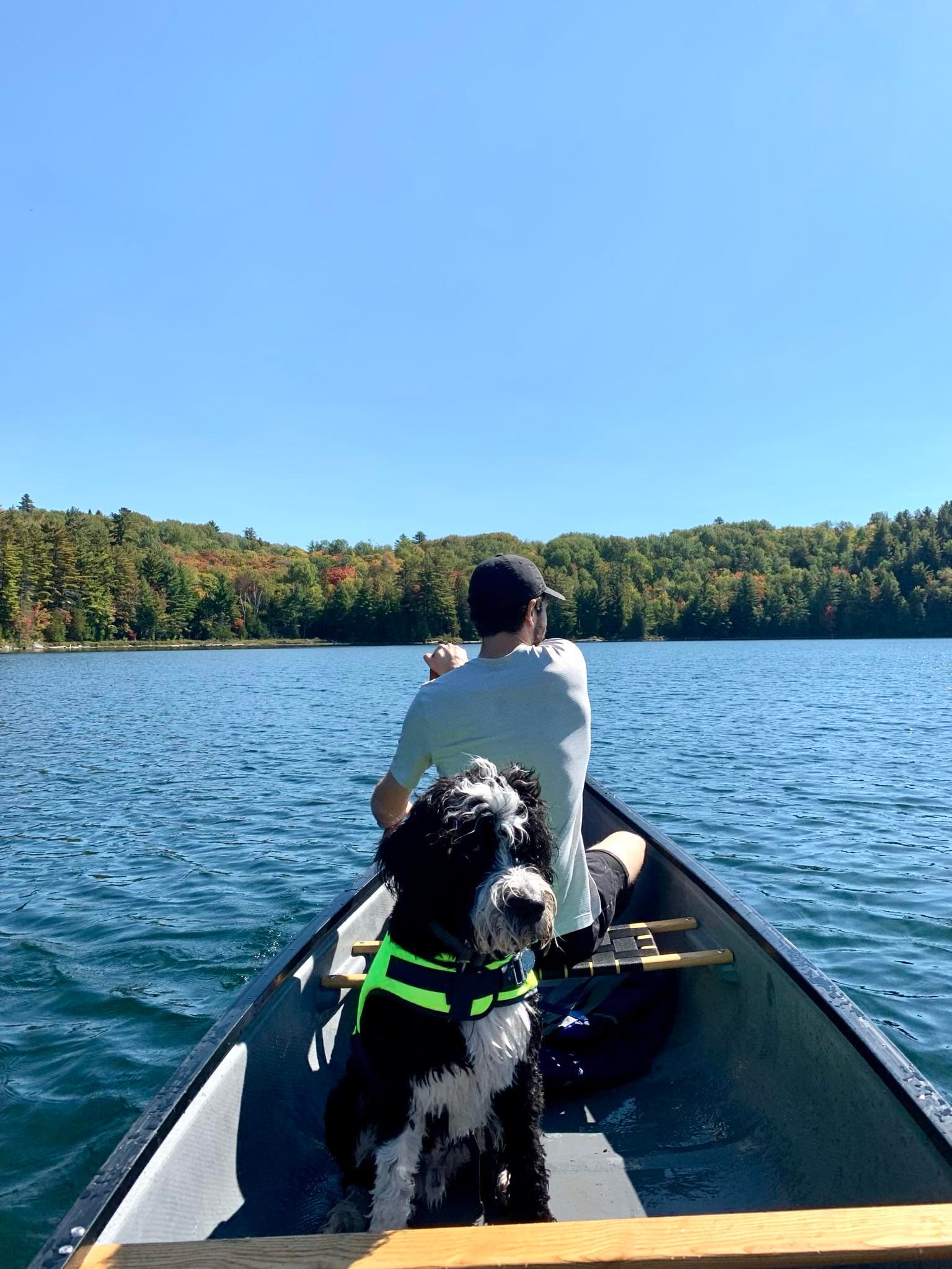 Chalet des Conifères
