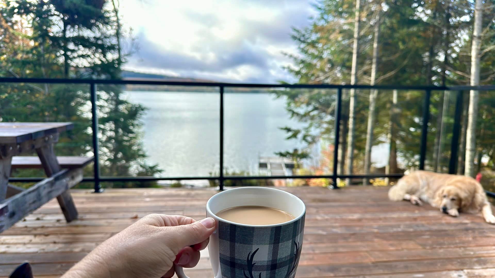 Chalet Gaumont Halde