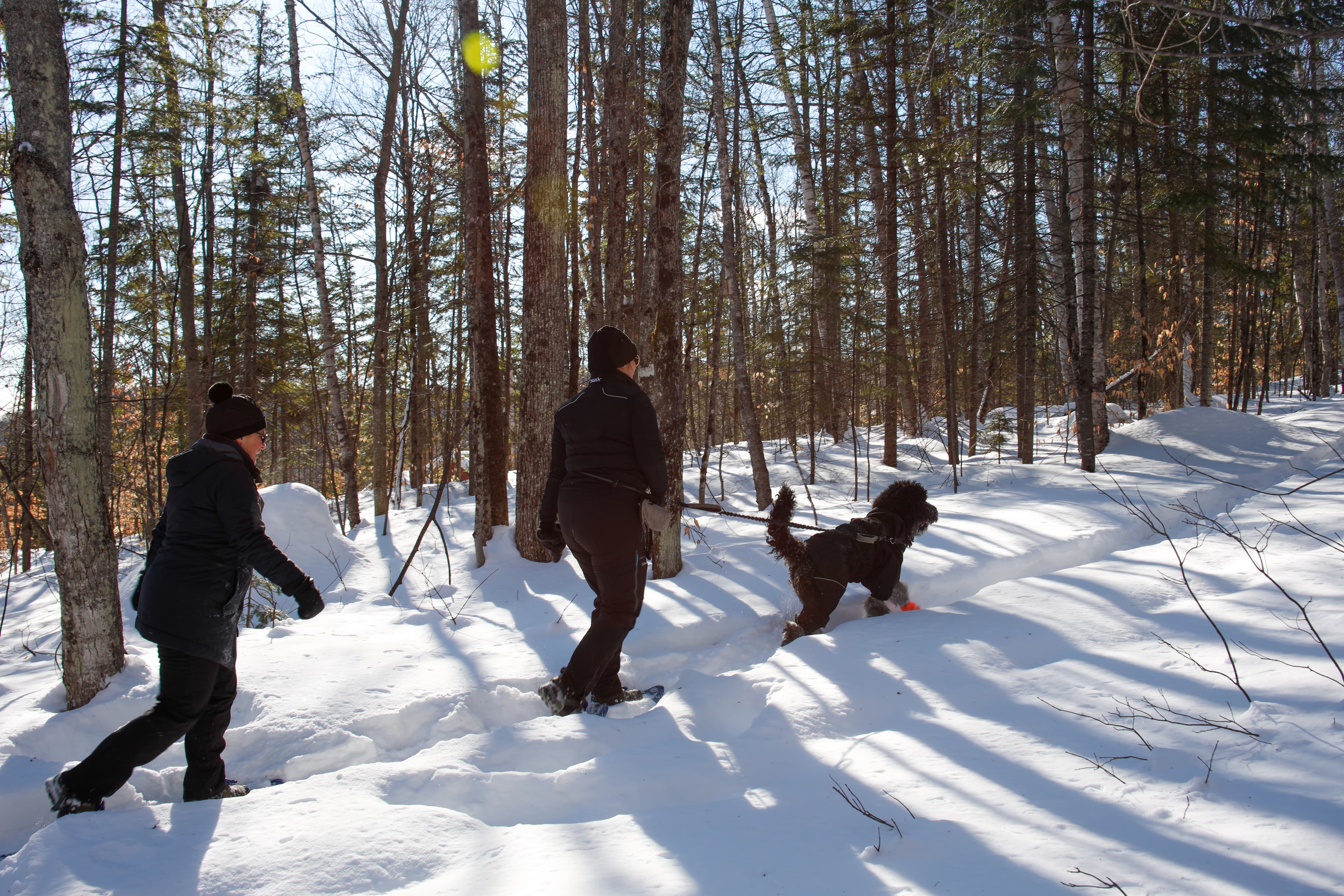 chalets-lanaudiere