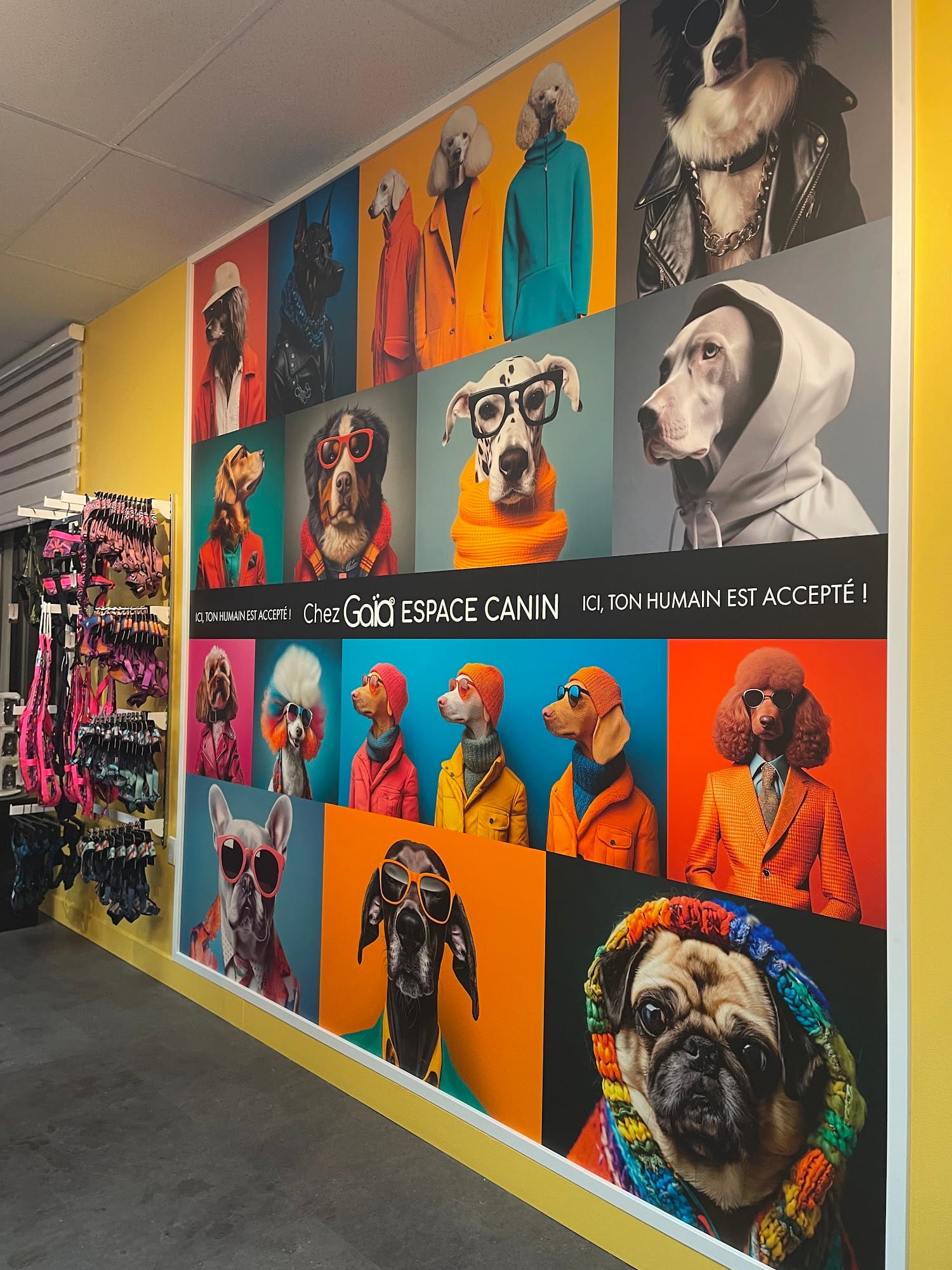 Chez Gaïa Espace Canin Inc.